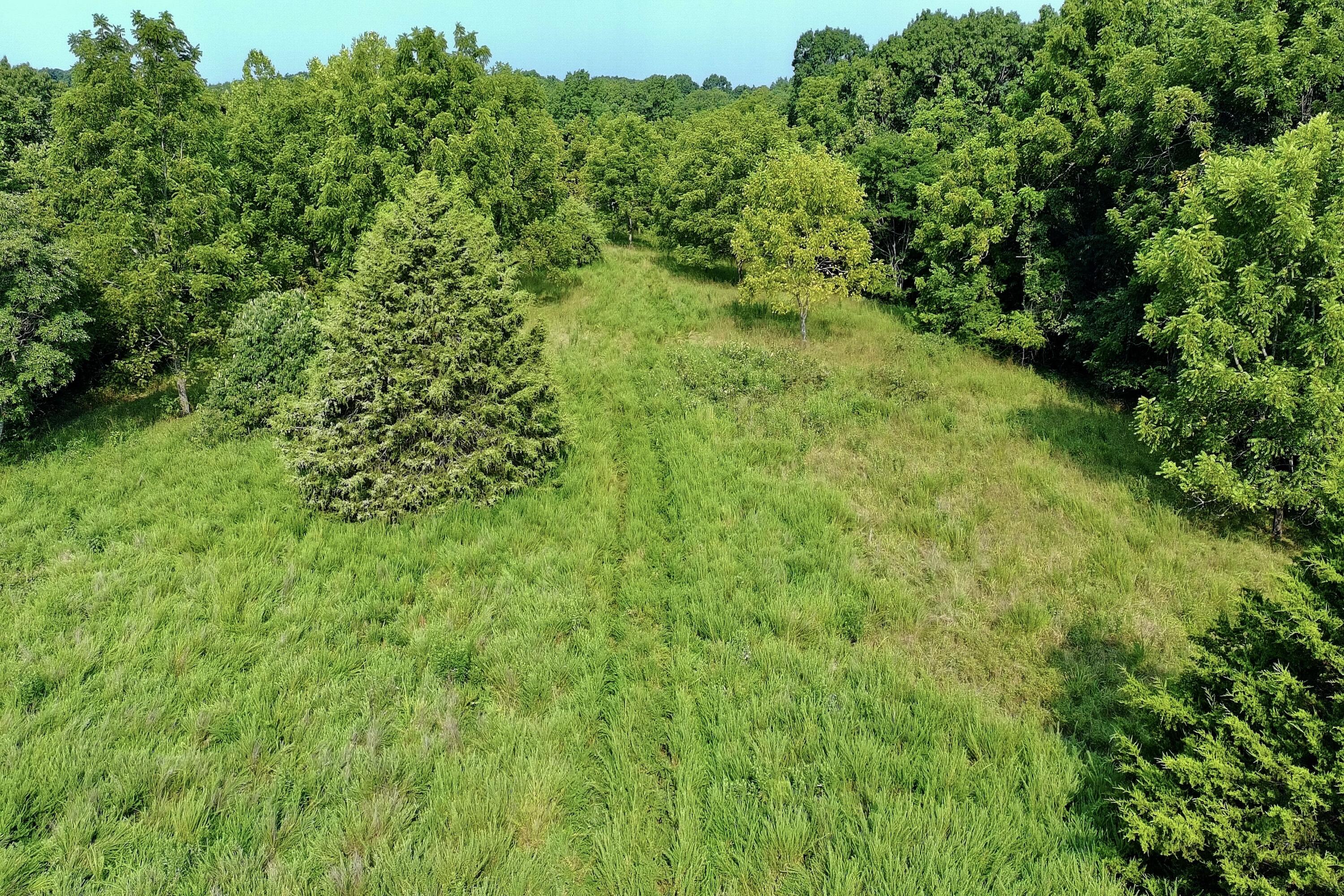 Photo 11 - Land for sale – 000  Red Bridge Rd   Ozark, MO