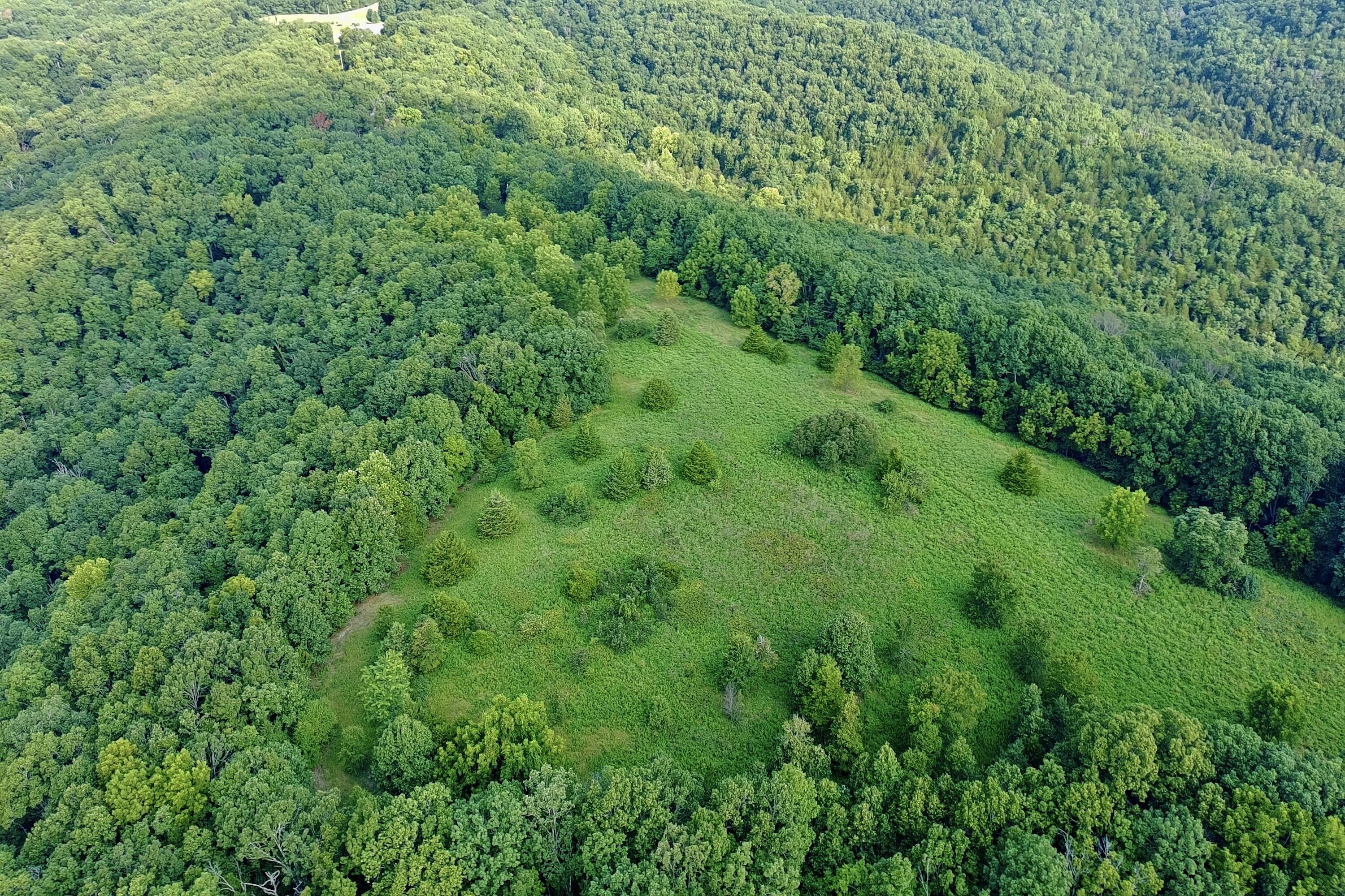 Photo 10 - Land for sale – 000  Red Bridge Rd   Ozark, MO