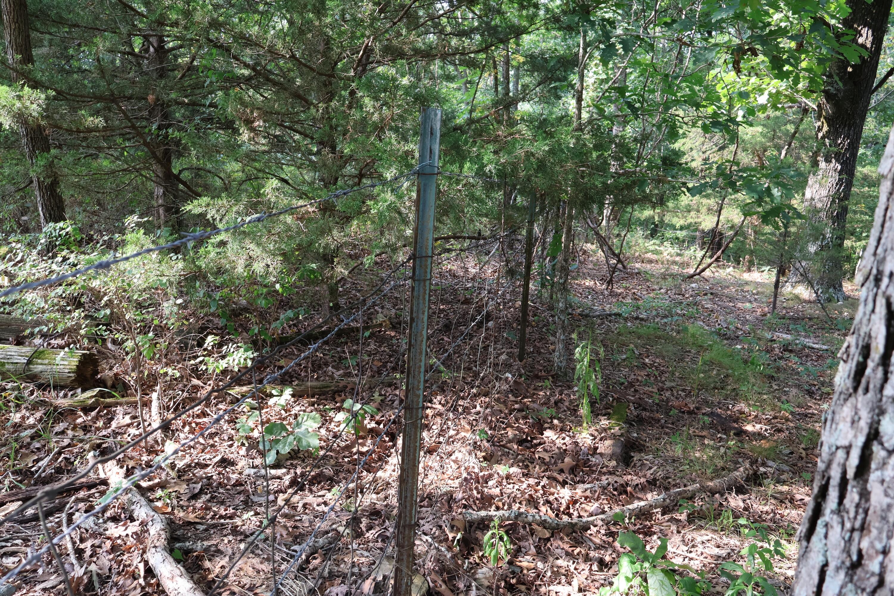 Photo 30 - Land for sale – 000  Red Bridge Rd   Ozark, MO