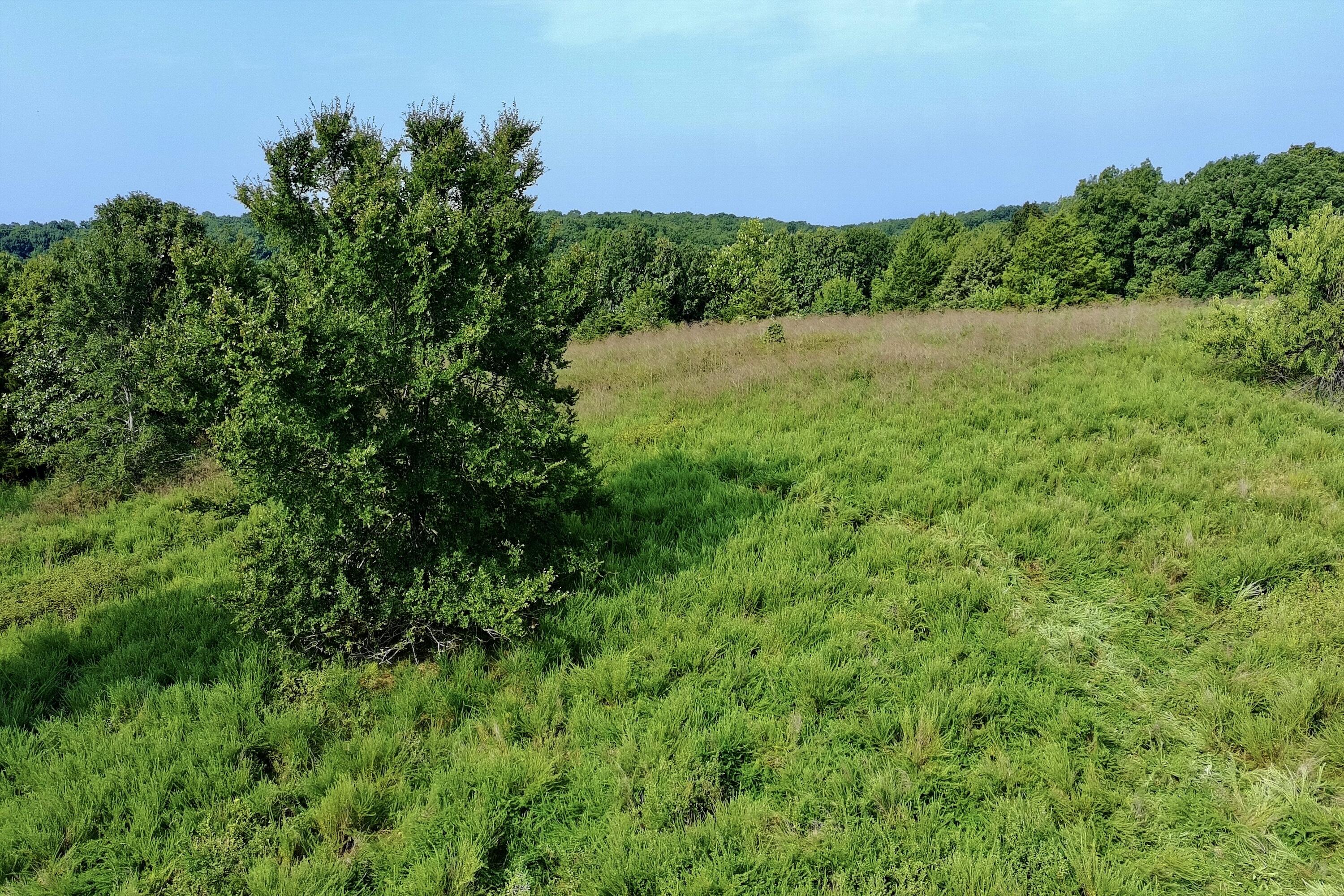 Photo 12 - Land for sale – 000  Red Bridge Rd   Ozark, MO