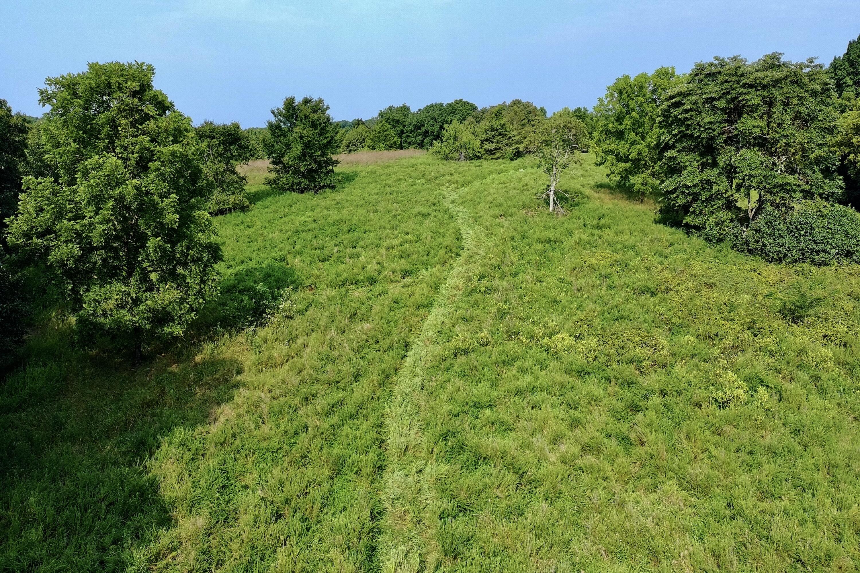 Photo 13 - Land for sale – 000  Red Bridge Rd   Ozark, MO