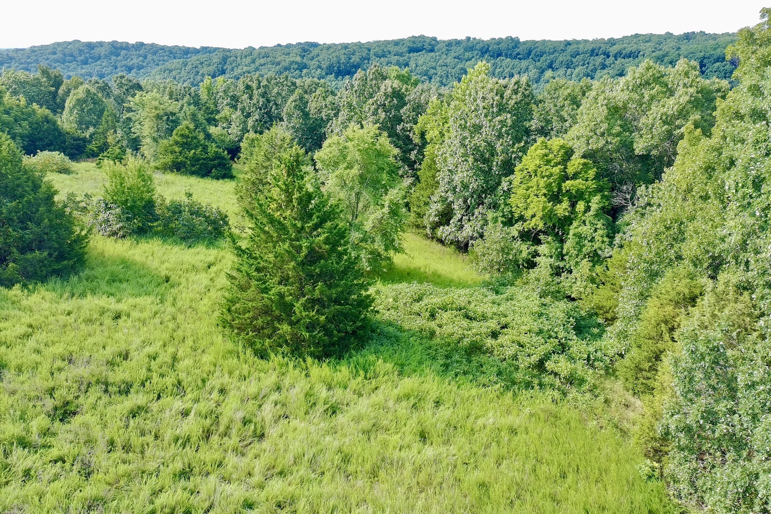 Photo 14 - Land for sale – 000  Red Bridge Rd   Ozark, MO