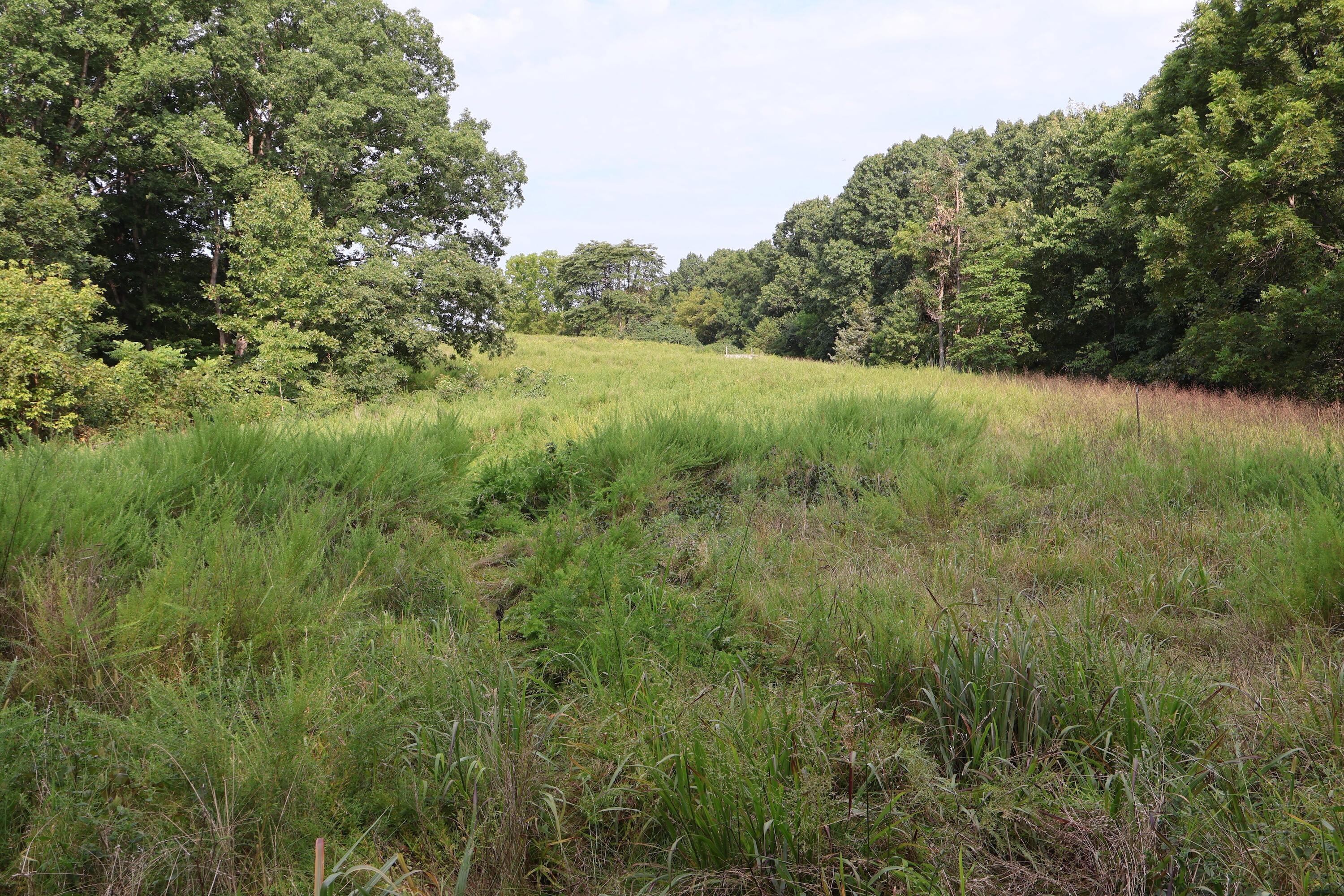 Photo 20 - Land for sale – 000  Red Bridge Rd   Ozark, MO