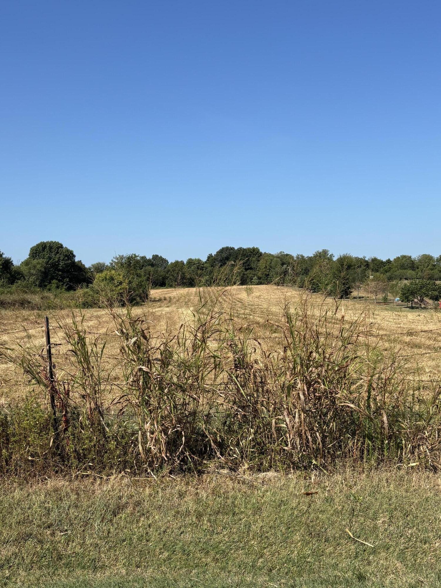 Land for sale – 0000 N Farm Rd 75   Bois D Arc, MO
