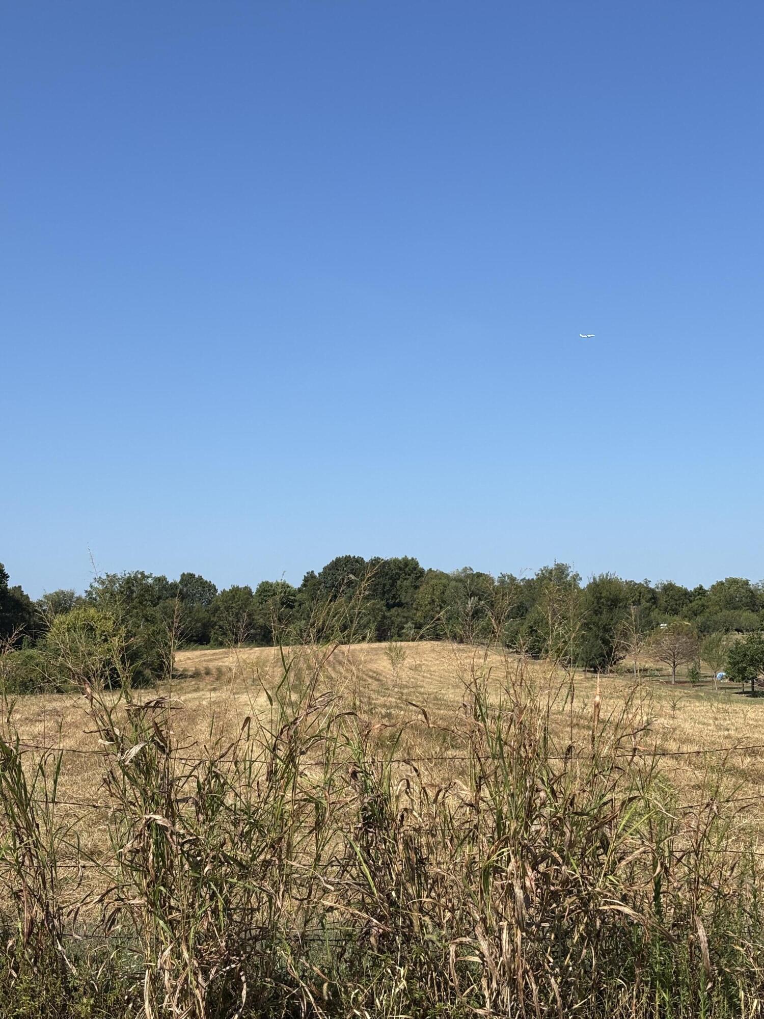 Photo 3 - Land for sale – 0000 N Farm Rd 75   Bois D Arc, MO