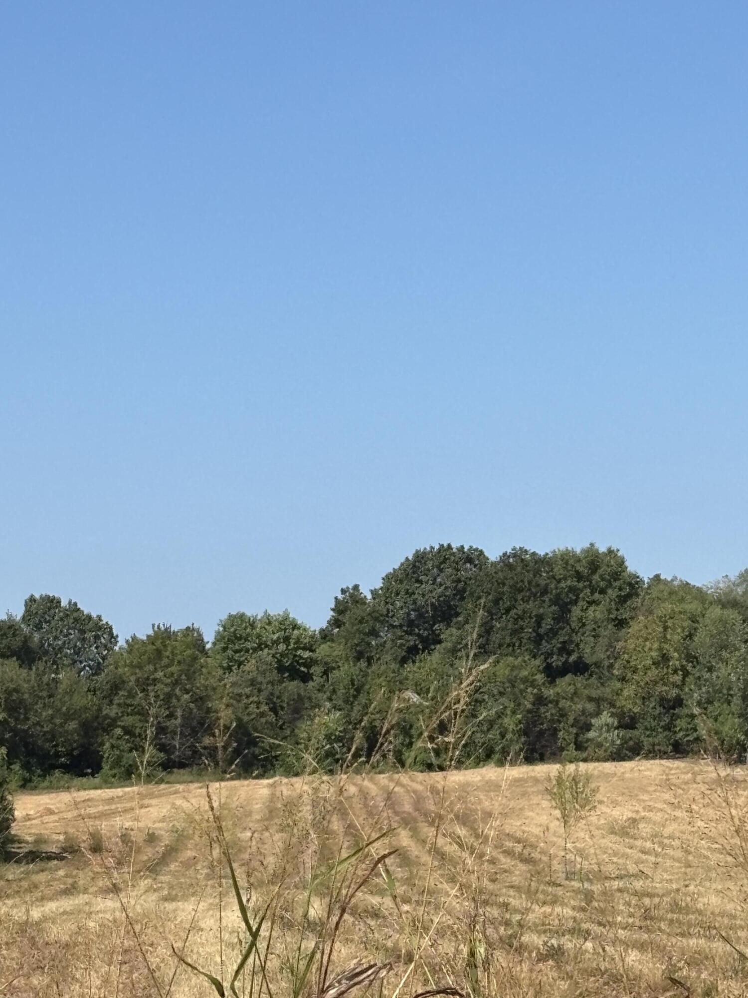 Photo 2 - Land for sale – 0000 N Farm Rd 75   Bois D Arc, MO