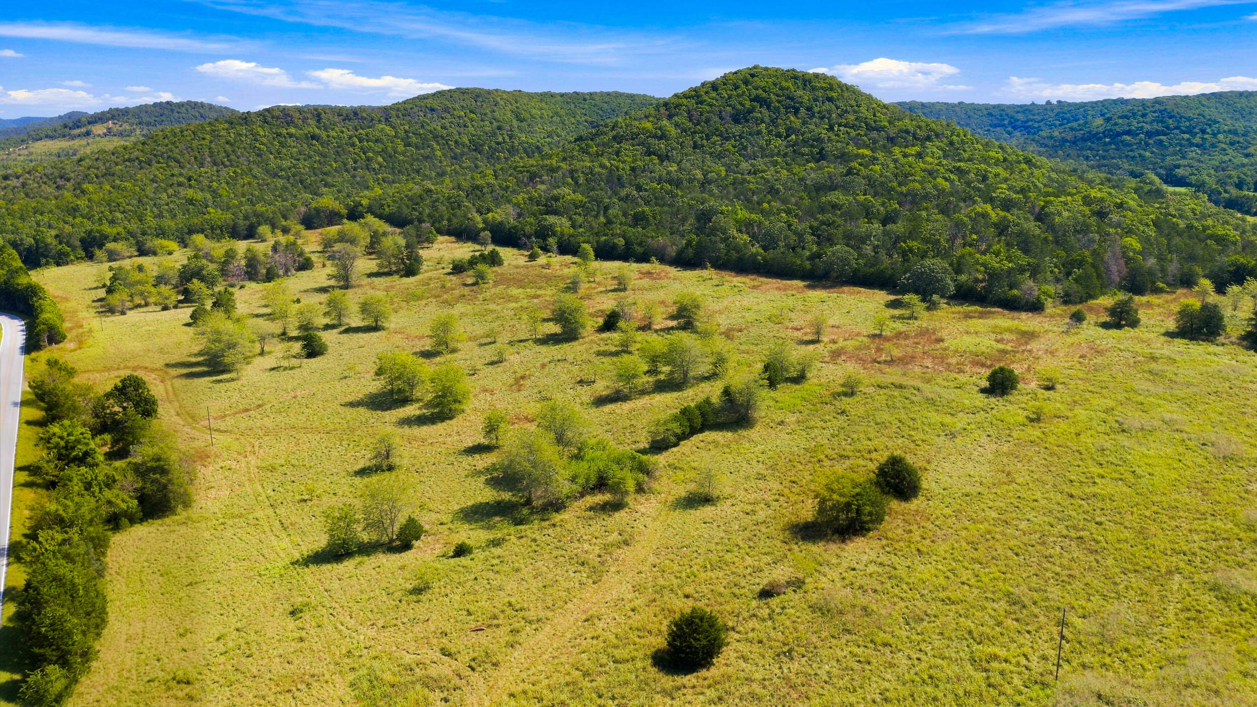 Photo 8 - Land for sale – 23262  State Highway M   Cassville, MO