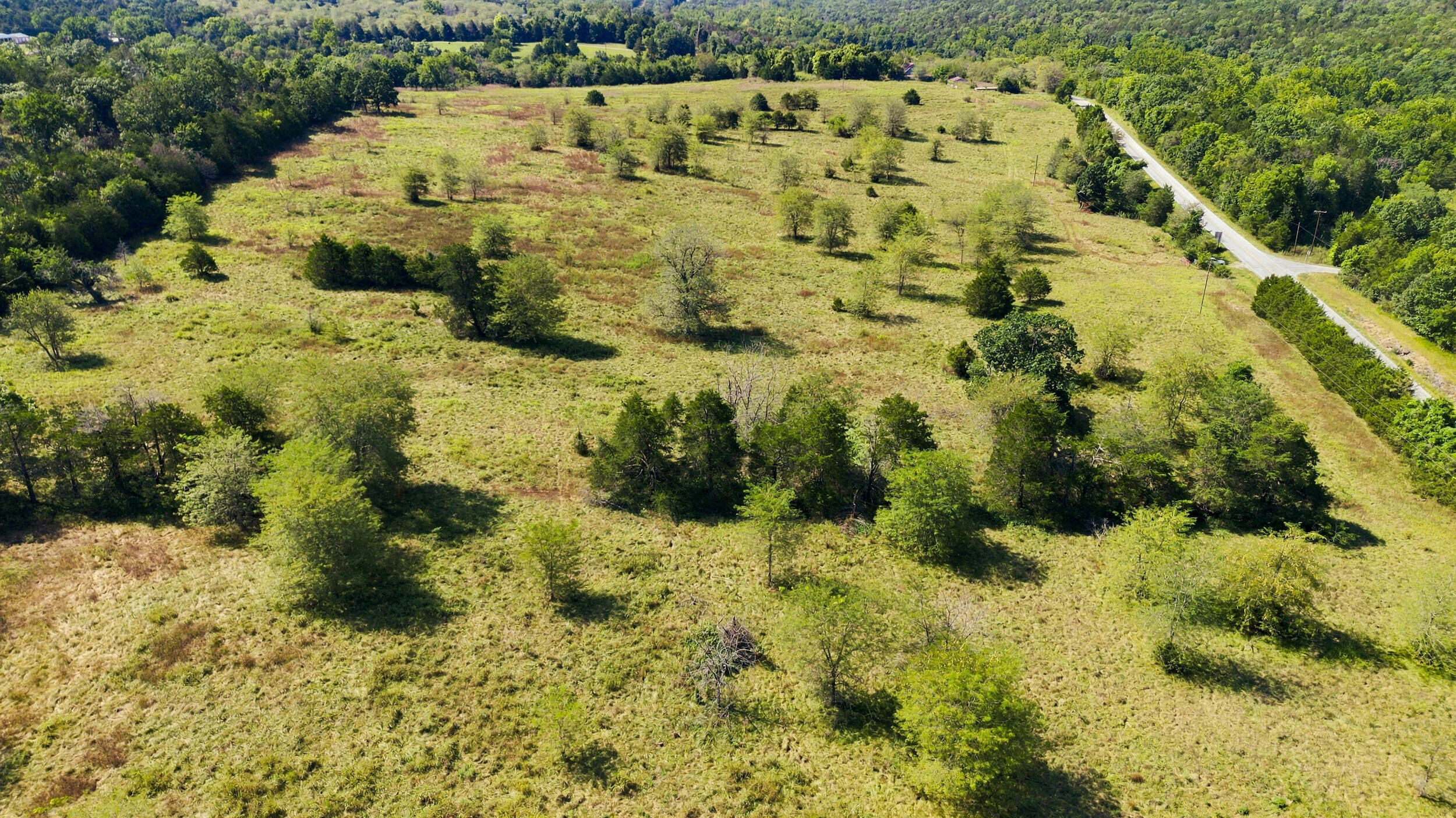 Photo 11 - Land for sale – 23262  State Highway M   Cassville, MO