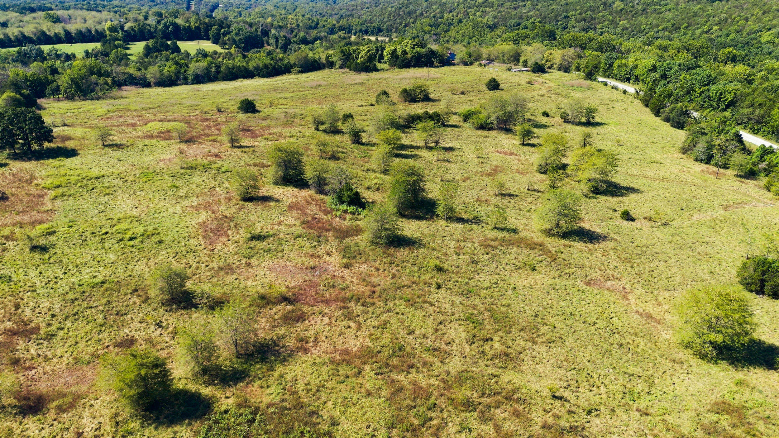 Photo 10 - Land for sale – 23262  State Highway M   Cassville, MO