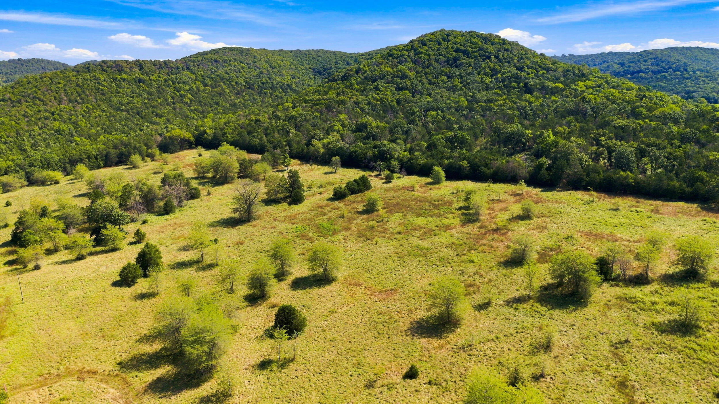 Photo 3 - Land for sale – 23262  State Highway M   Cassville, MO