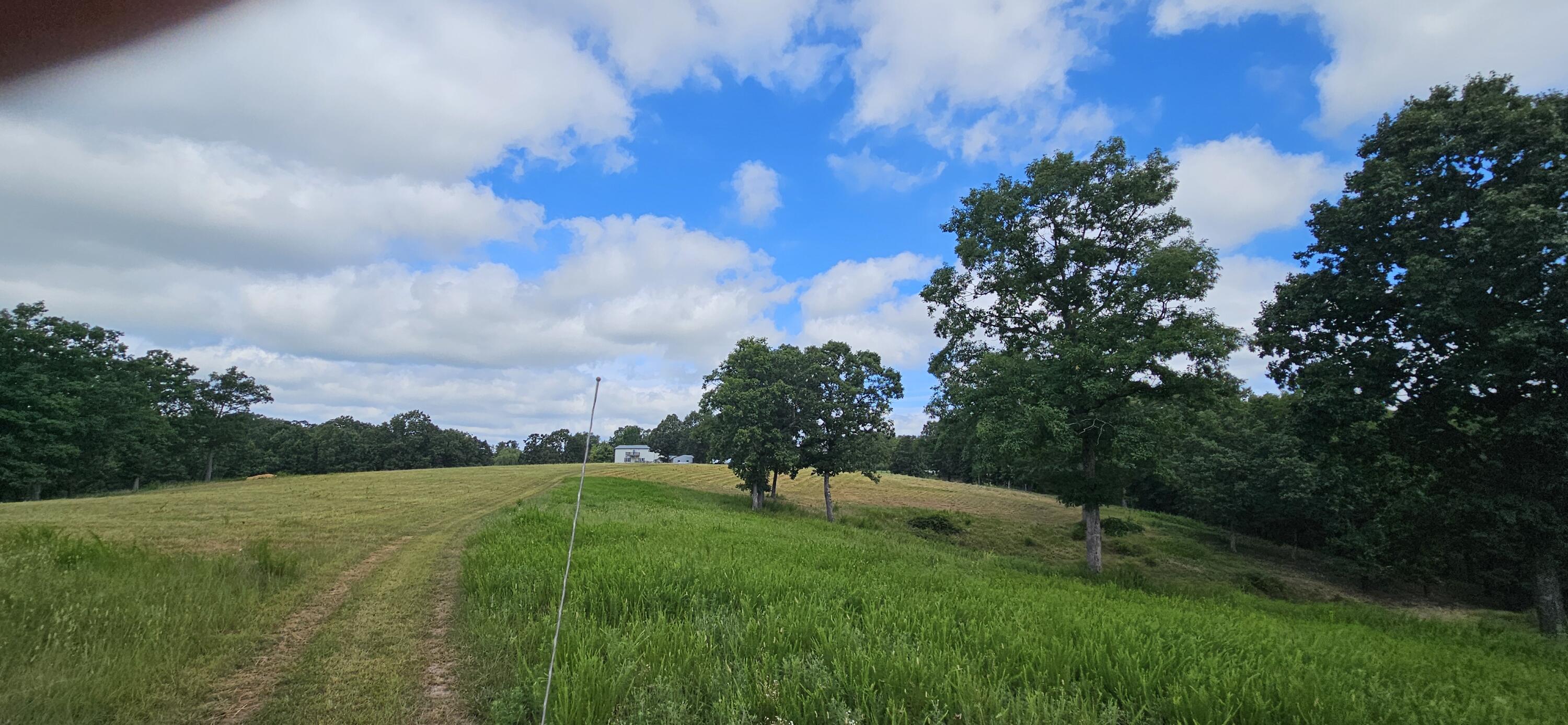 Photo 78 - Farm for sale – 2378  State Highway Ab   Seymour, MO