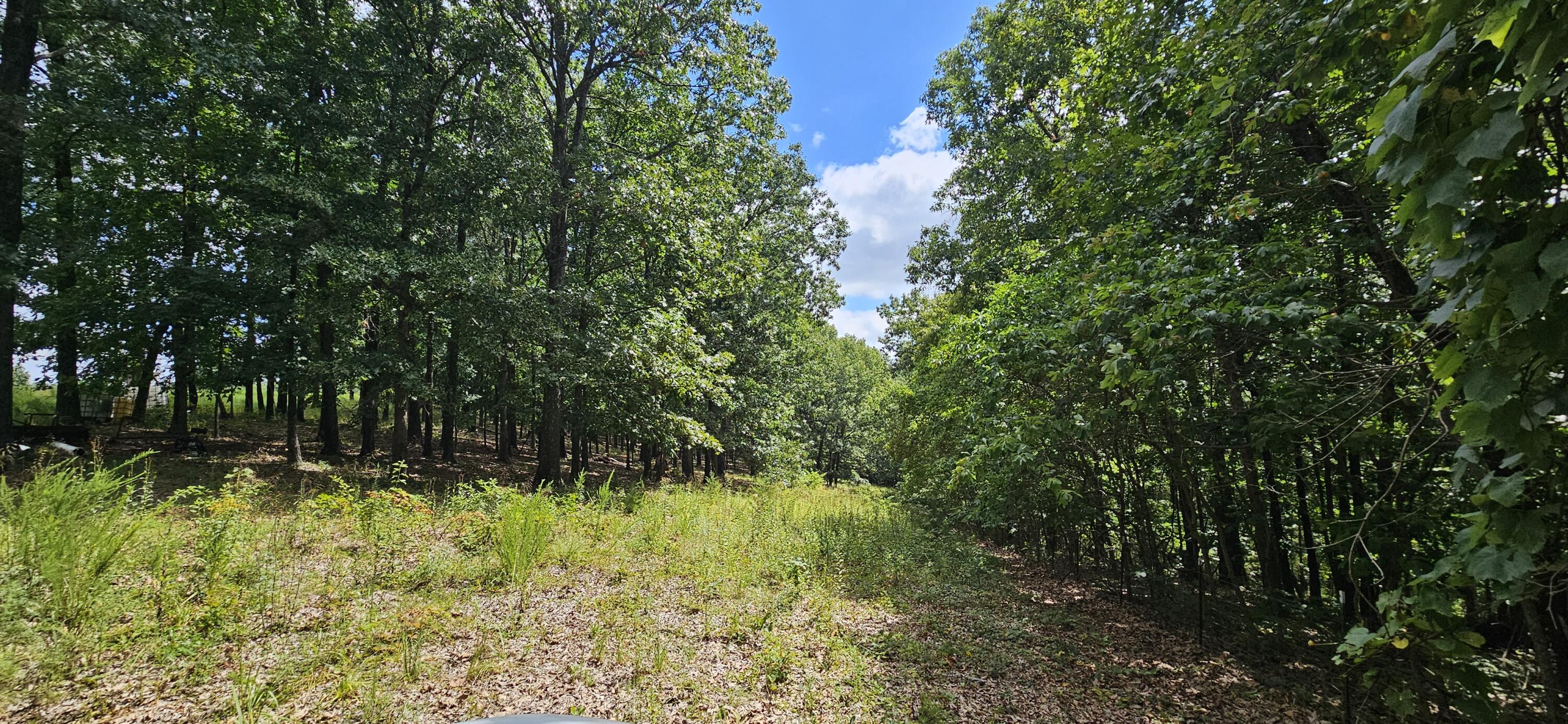 Photo 81 - Farm for sale – 2378  State Highway Ab   Seymour, MO