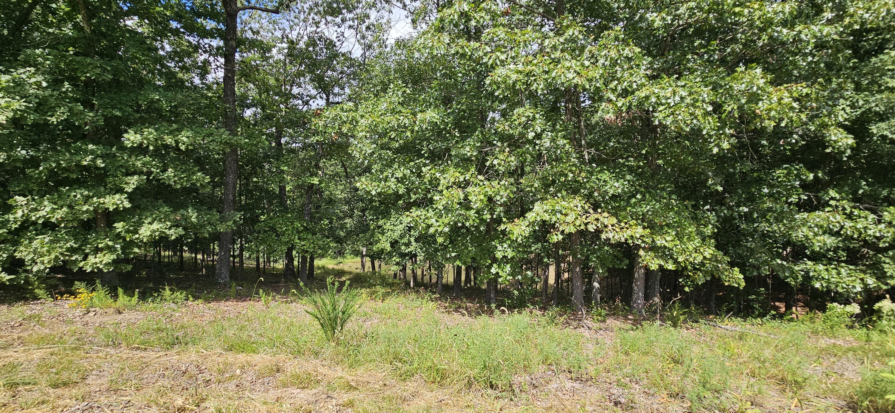 Photo 80 - Farm for sale – 2378  State Highway Ab   Seymour, MO