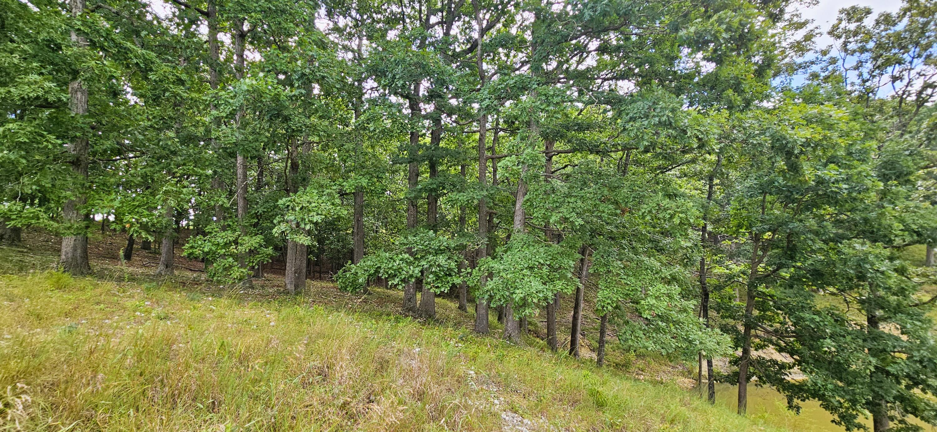 Photo 71 - Residential for sale – 2378  State Highway Ab   Seymour, MO