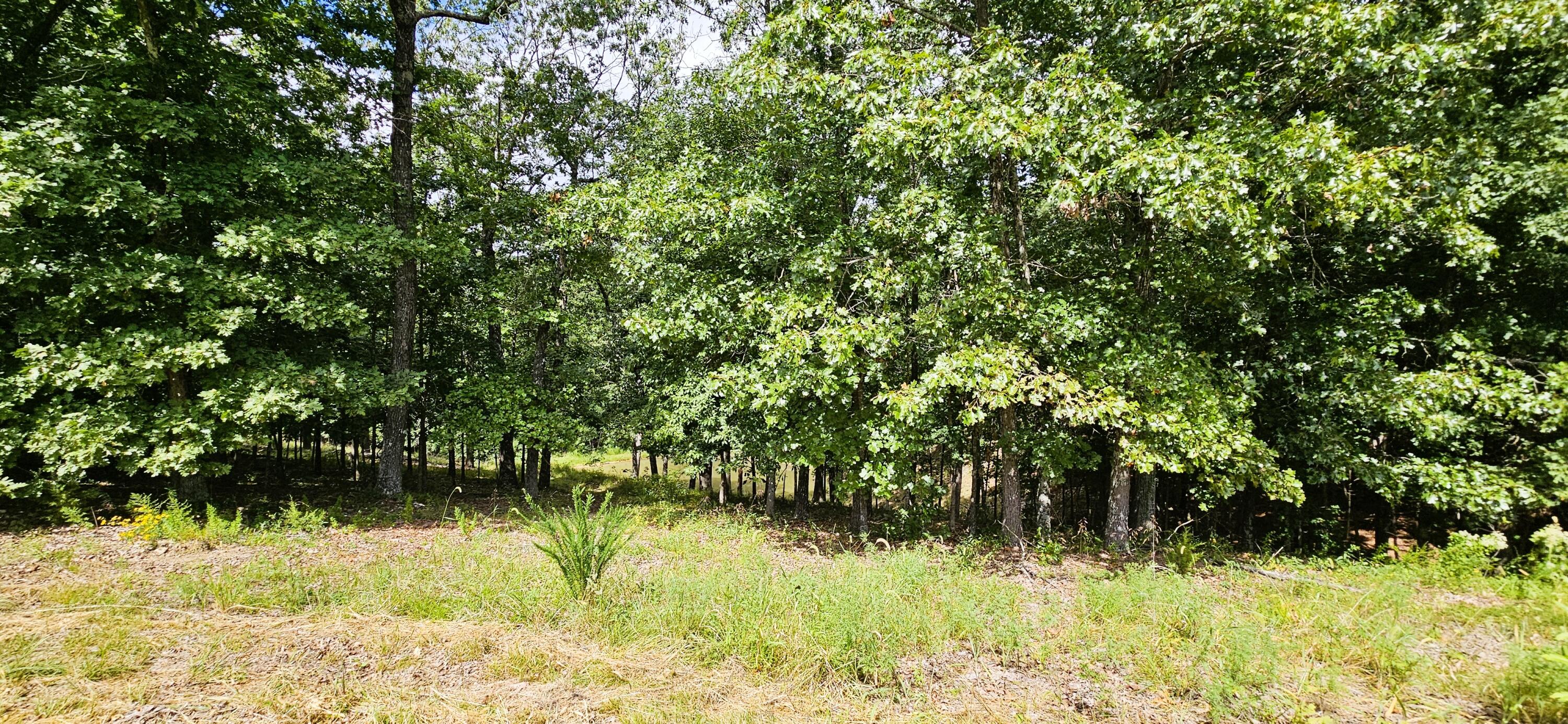 Photo 74 - Residential for sale – 2378  State Highway Ab   Seymour, MO