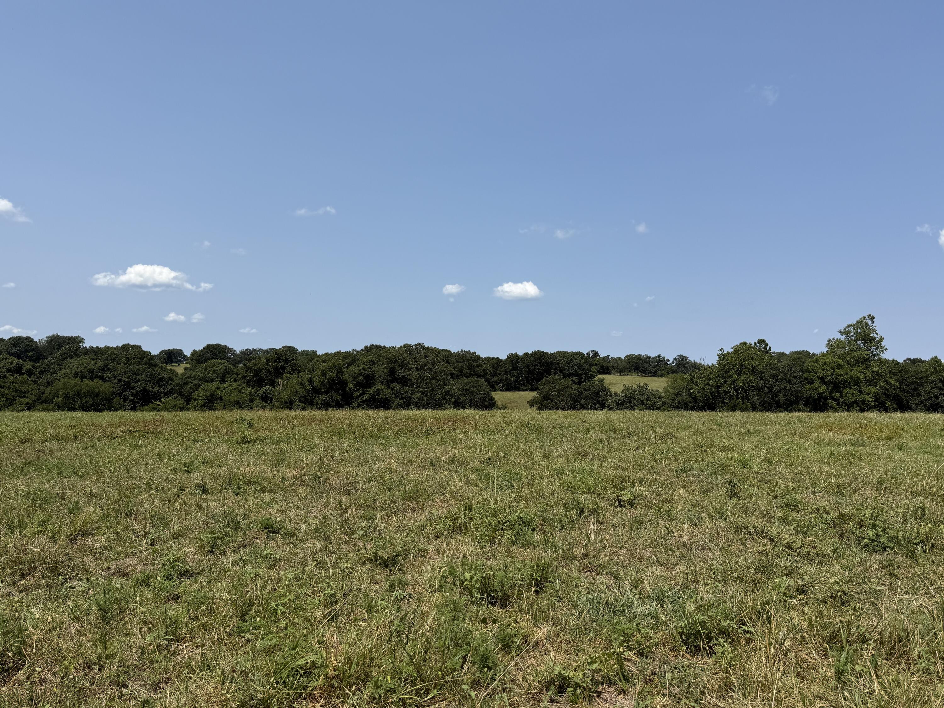 Photo 30 - Residential for sale – 4109  State Highway 90   Washburn, MO