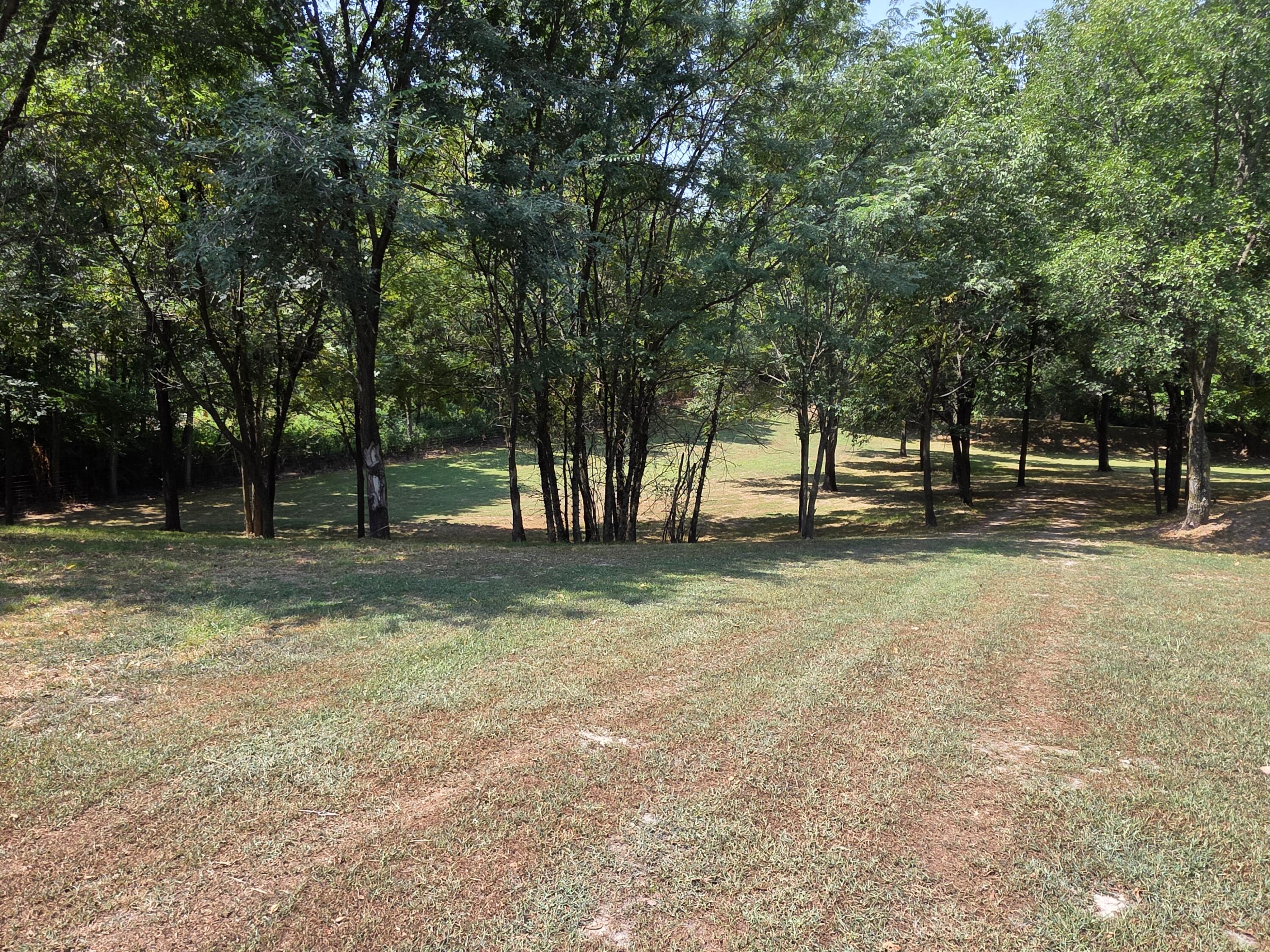 Photo 51 - Residential for sale – 17664  Locust Road  Neosho, MO
