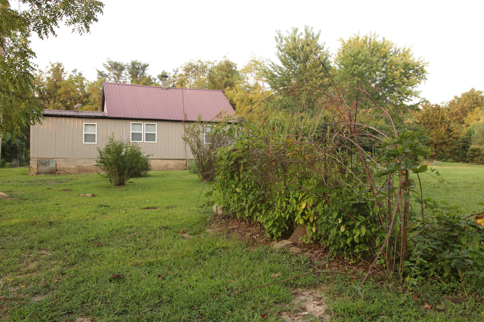 Photo 8 - Residential for sale – 3627  County Road 542   Ava, MO