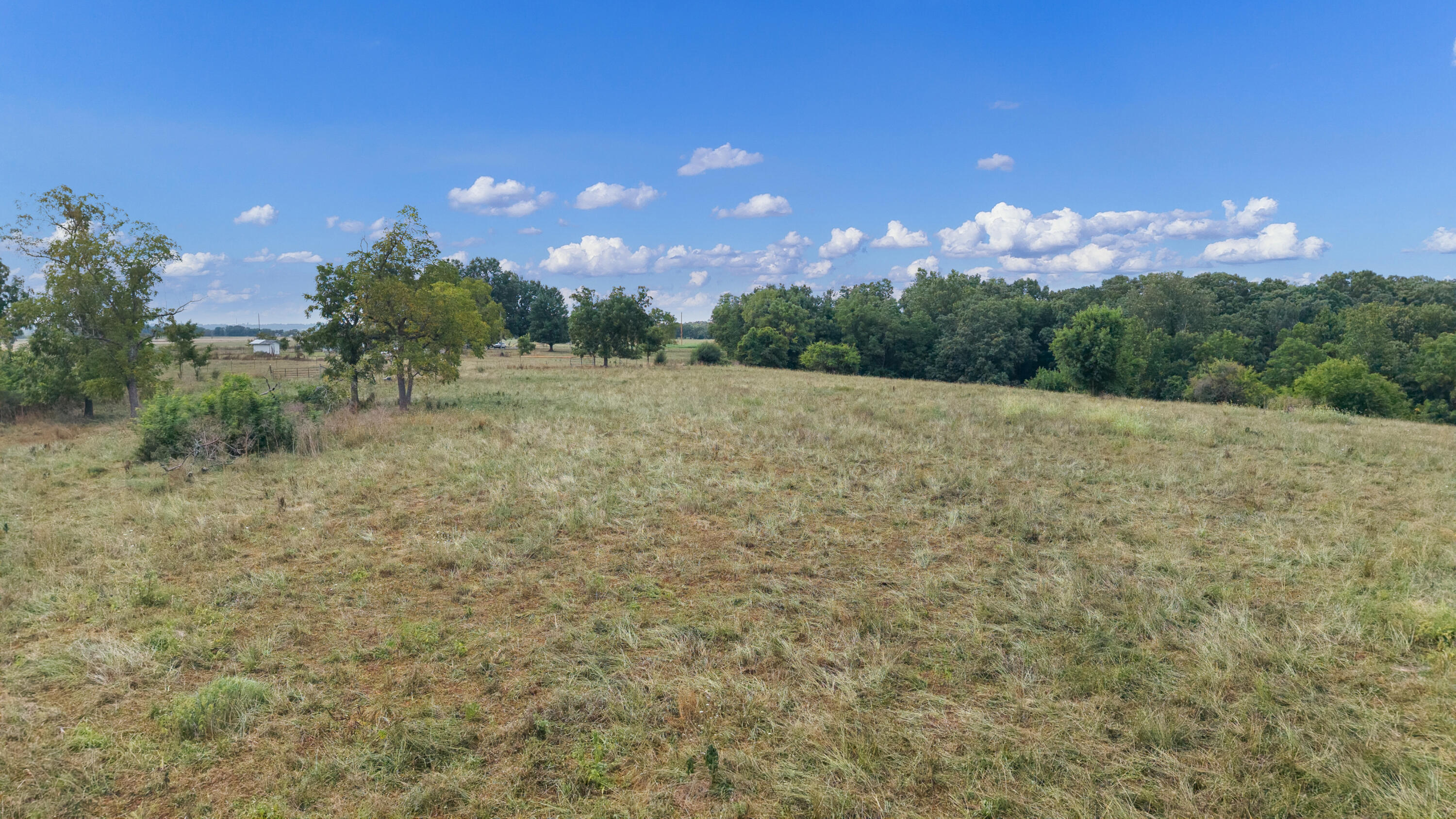 Photo 9 - Residential for sale – 9671  Farm Road 2230   Cassville, MO