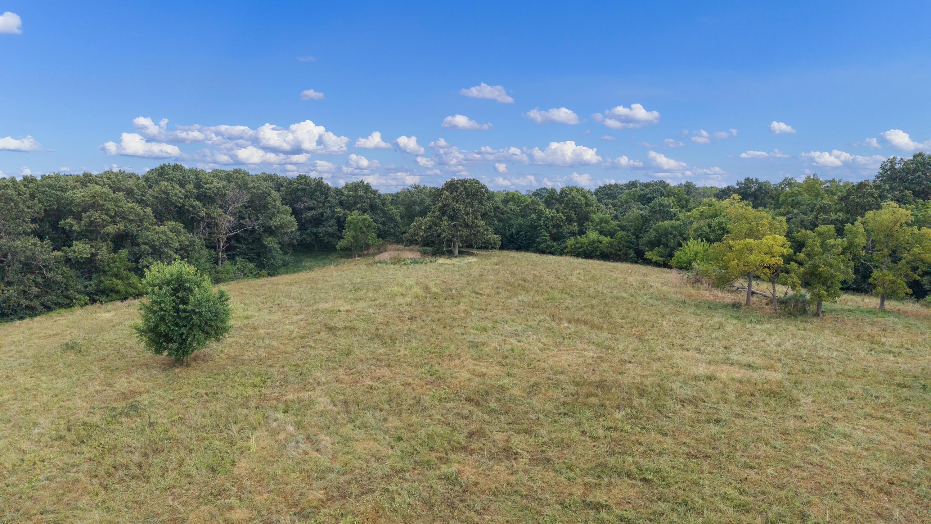 Photo 8 - Residential for sale – 9671  Farm Road 2230   Cassville, MO