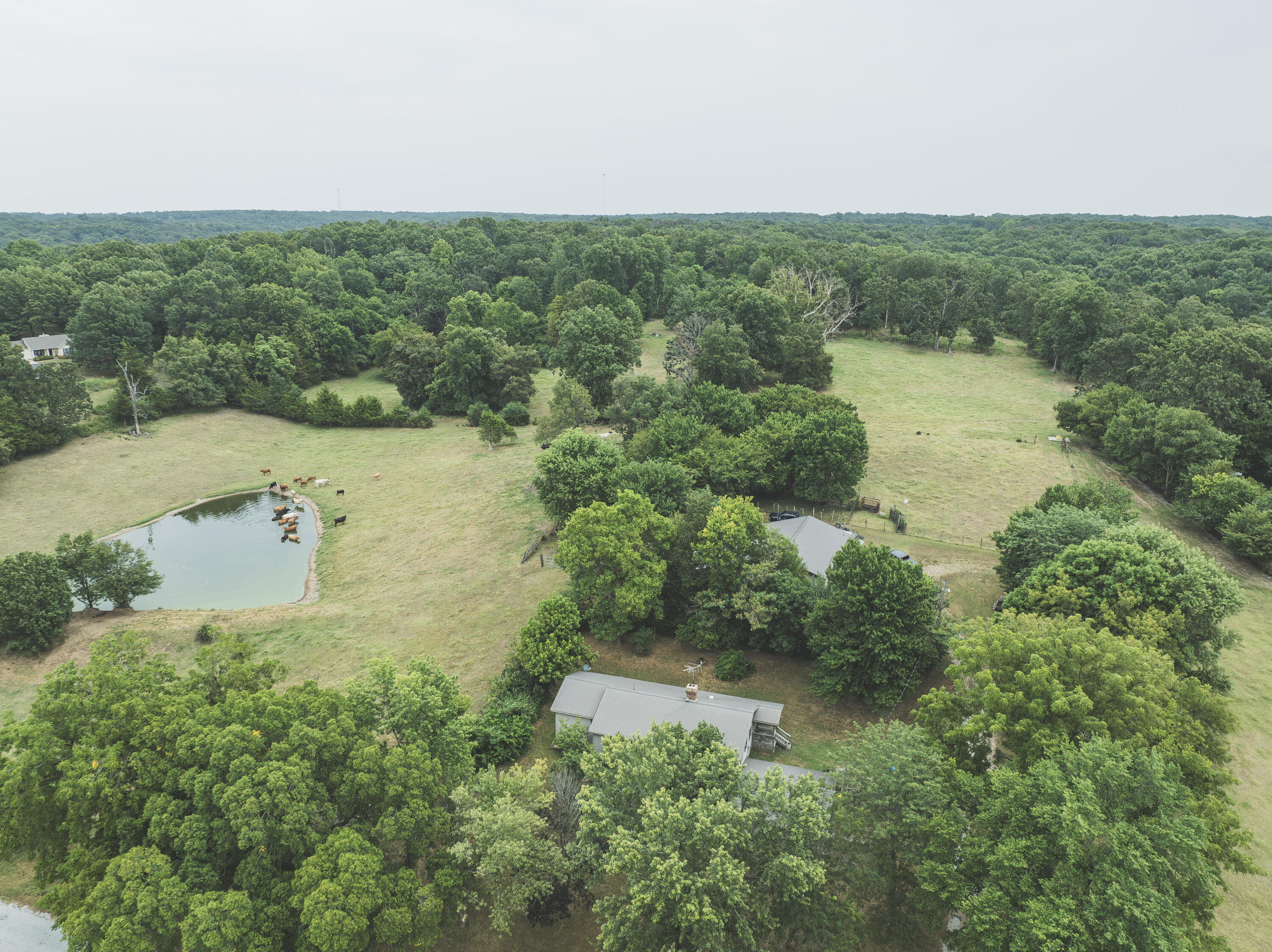Photo 46 - Residential for sale – 12471  Mallard Drive  Neosho, MO