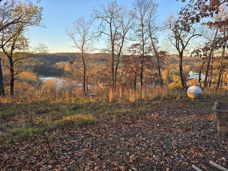 Photo 5 - Land for sale – 10  Power Mill Creek Road Road  Galena, MO