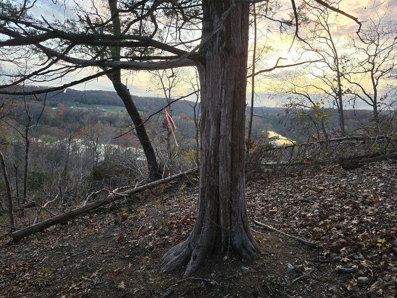 Photo 10 - Land for sale – 10  Power Mill Creek Road Road  Galena, MO