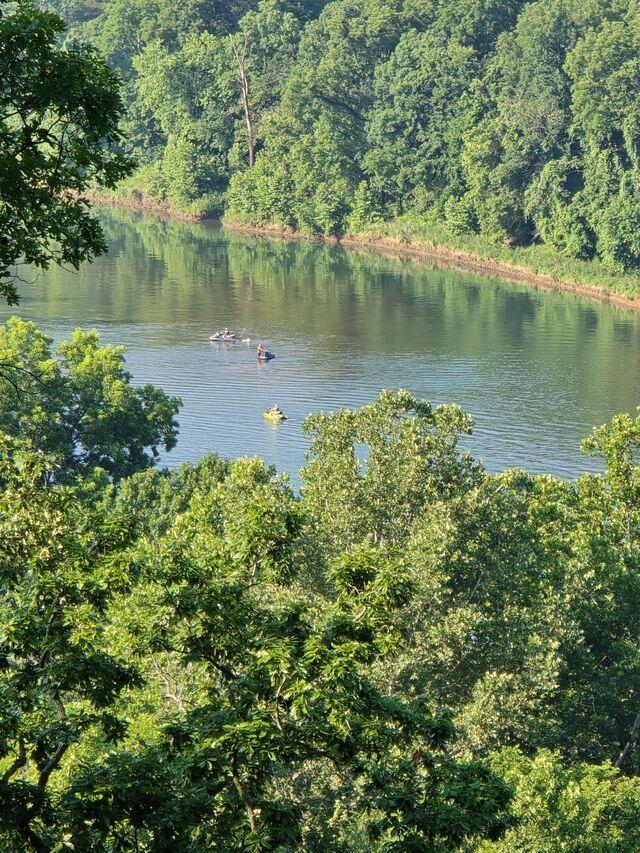 Photo 6 - Land for sale – 10  Power Mill Creek Road Road  Galena, MO