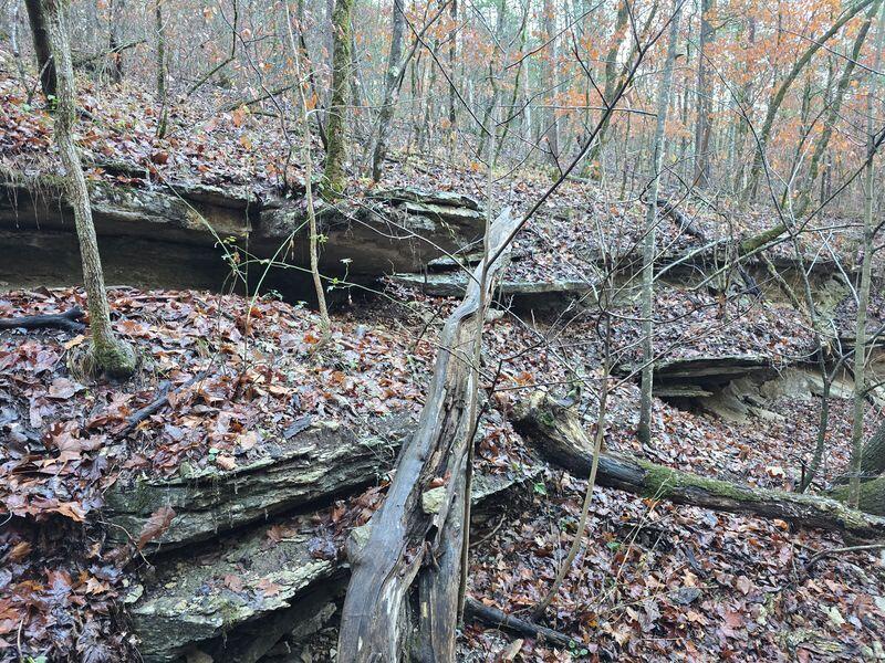 Photo 12 - Land for sale – 10  Power Mill Creek Road Road  Galena, MO