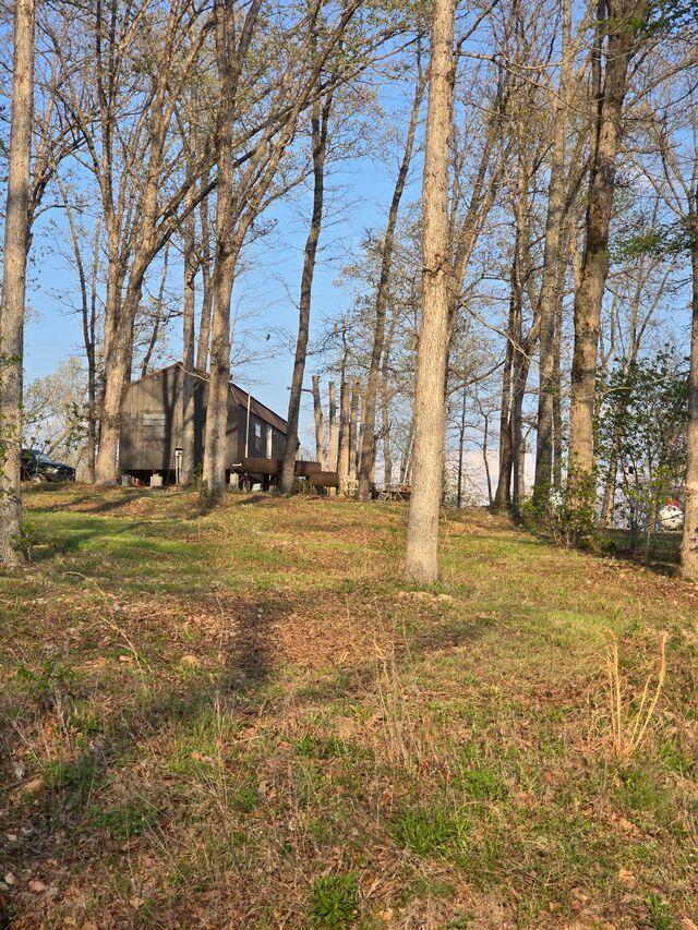Photo 21 - Land for sale – 10  Power Mill Creek Road Road  Galena, MO