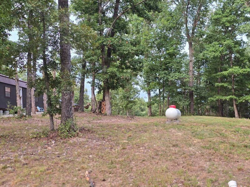 Photo 19 - Land for sale – 10  Power Mill Creek Road Road  Galena, MO