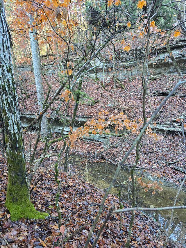 Photo 23 - Land for sale – 10  Power Mill Creek Road Road  Galena, MO