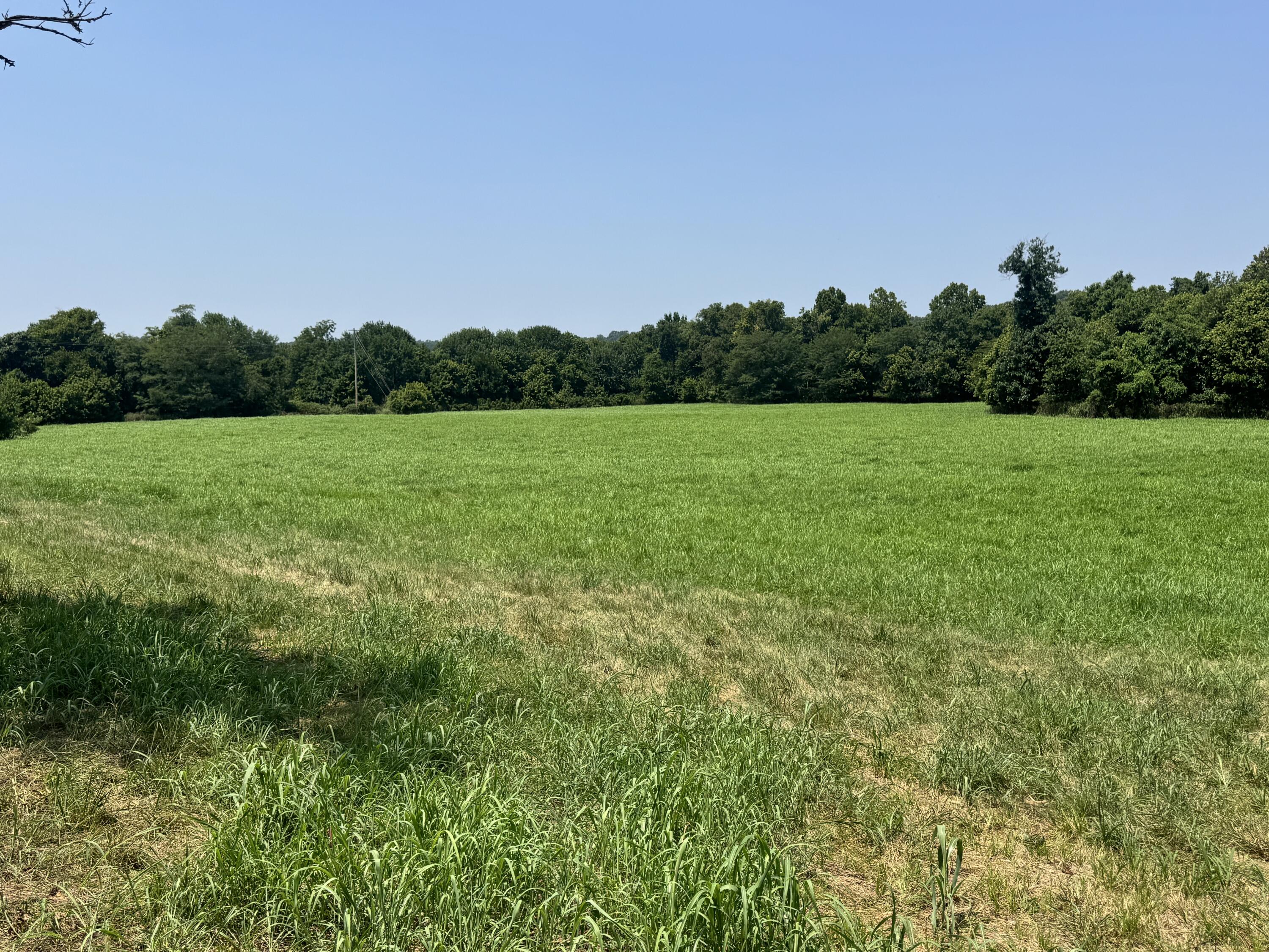 Land for sale – 000  Gracie Lane  Pineville, MO