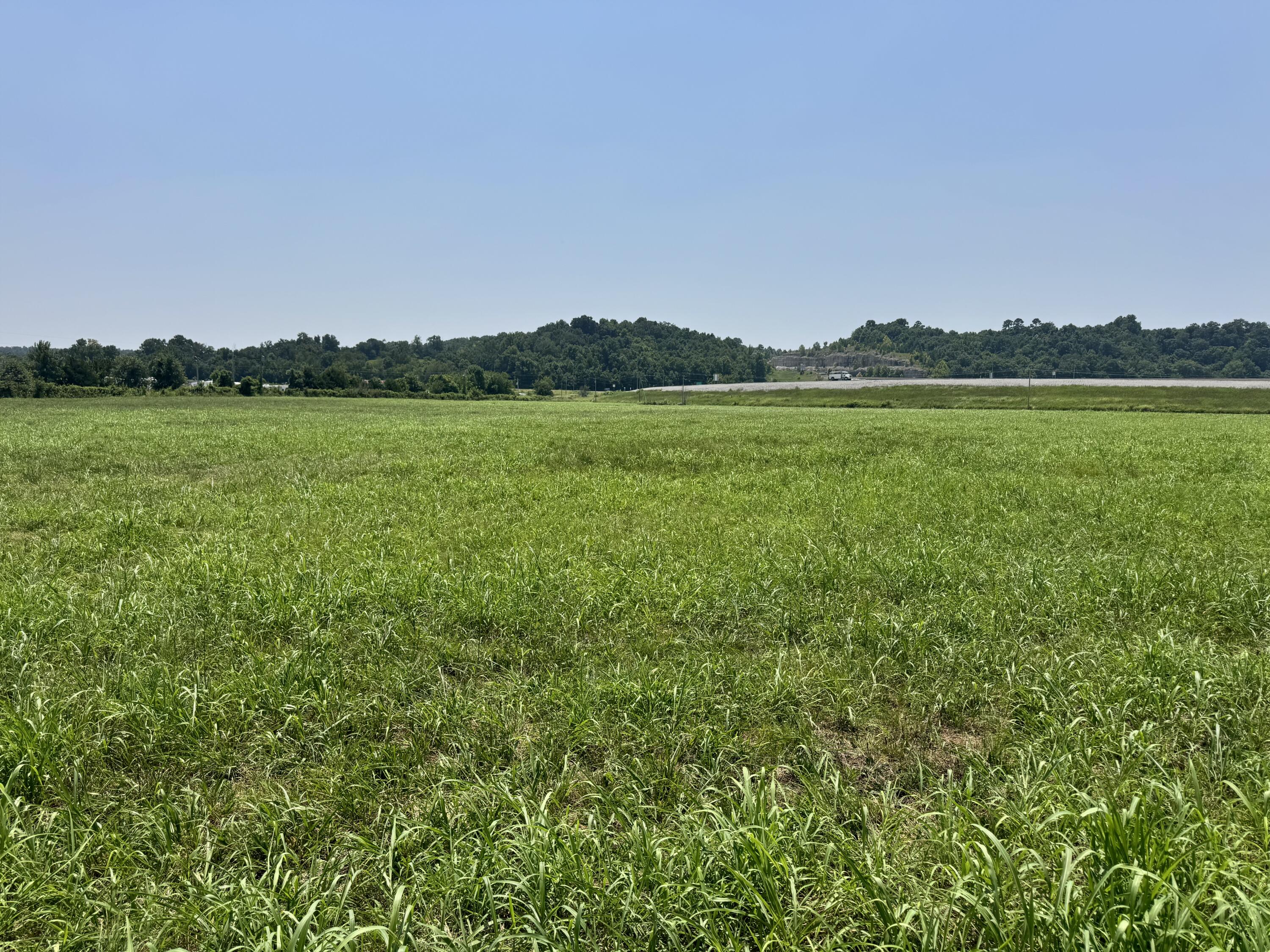 Photo 3 - Land for sale – 000  Gracie Lane  Pineville, MO