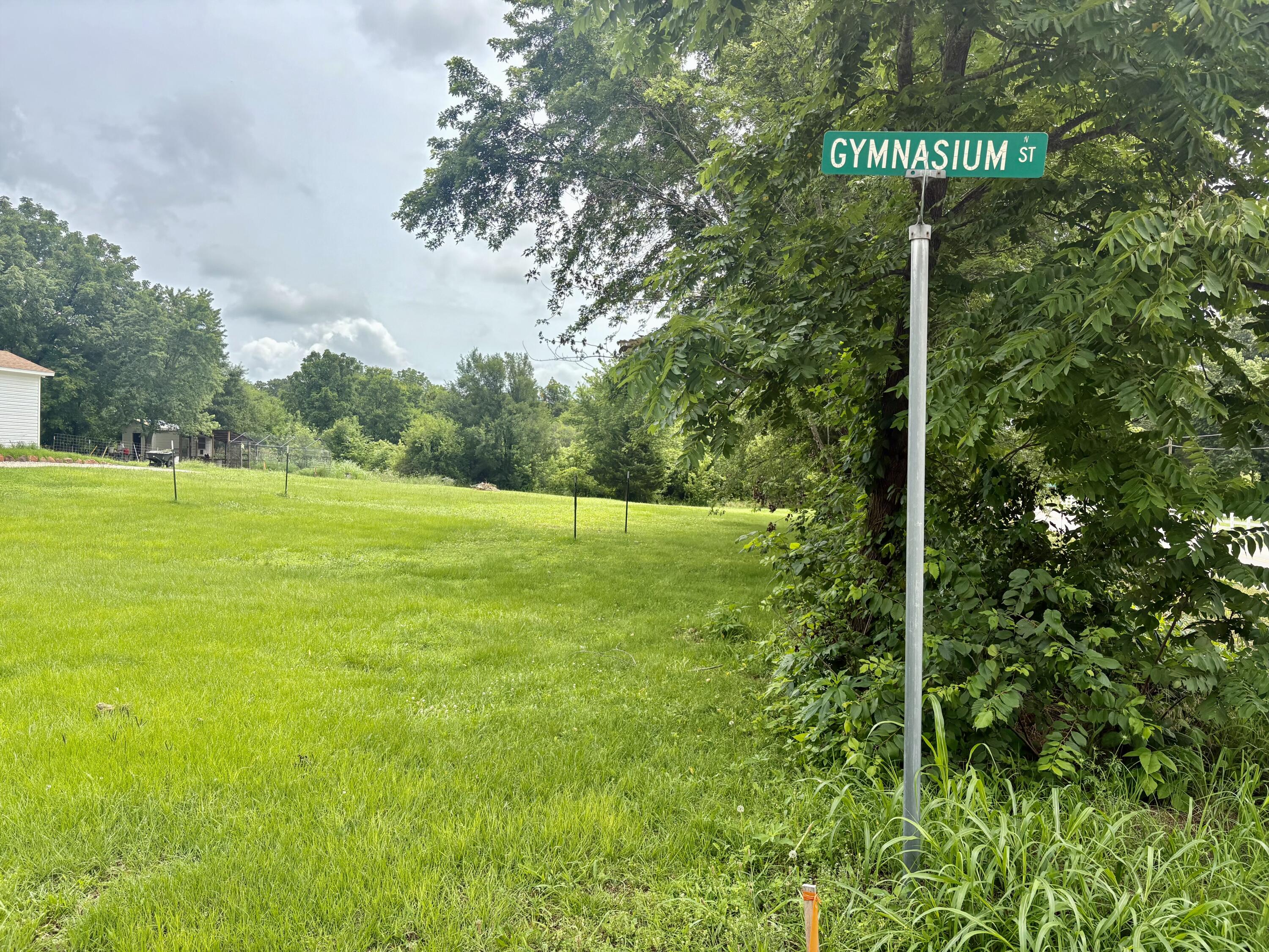 Land for sale – 108  Gymnasium Street  Everton, MO