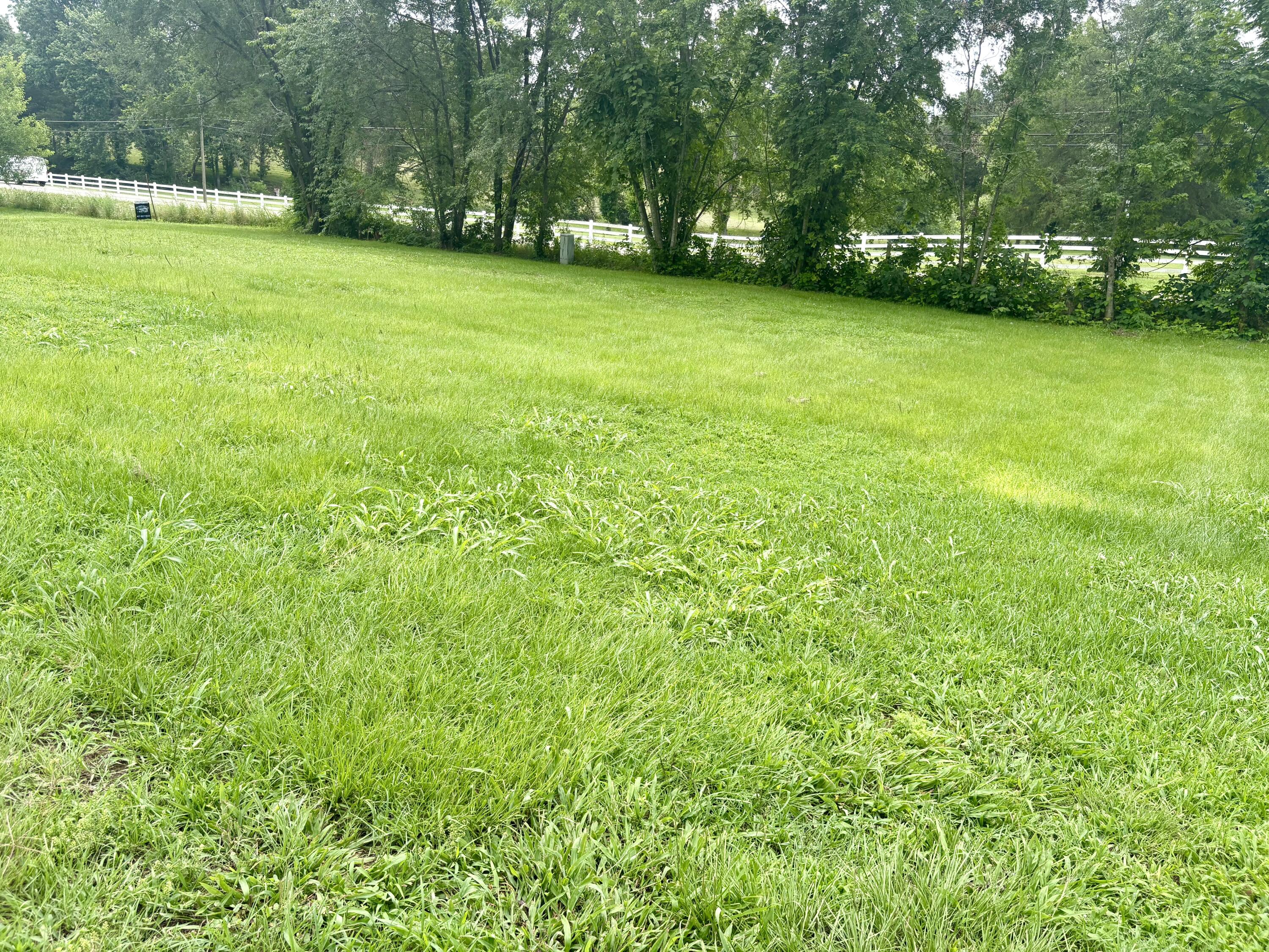 Photo 9 - Land for sale – 108  Gymnasium Street  Everton, MO