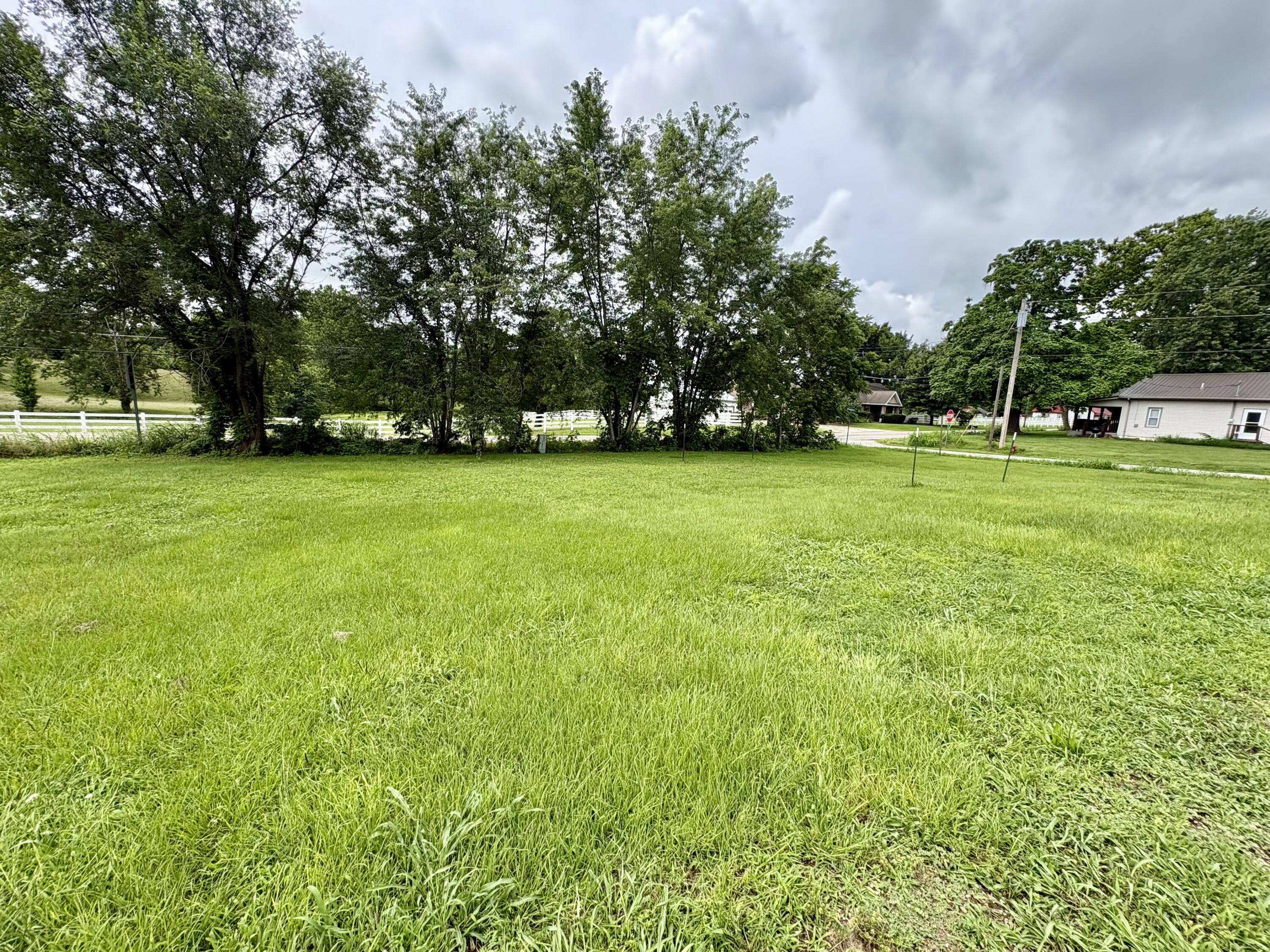 Photo 3 - Land for sale – 108  Gymnasium Street  Everton, MO