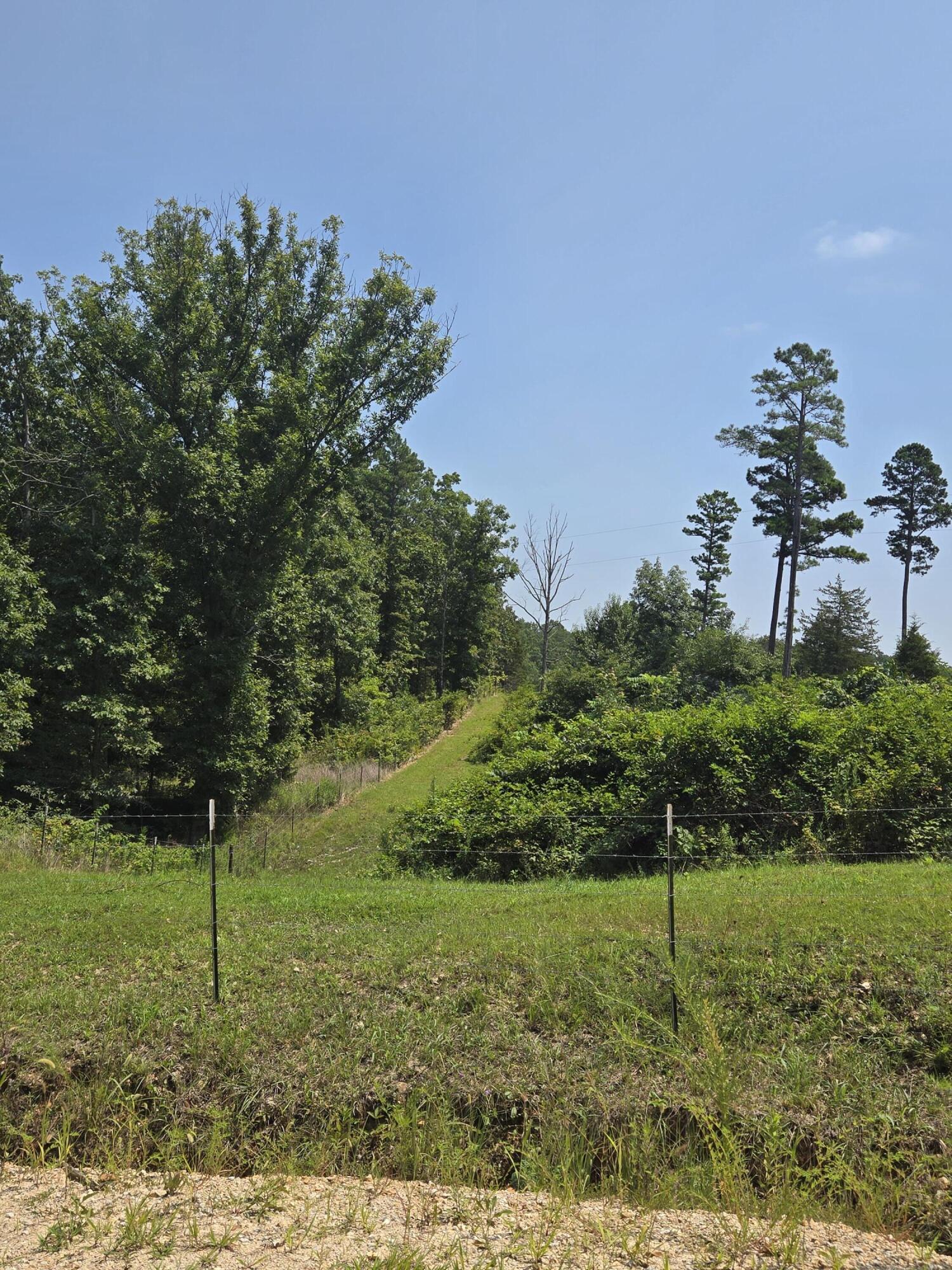 Photo 9 - Land for sale – 0001  County Road 421   Birch Tree, MO