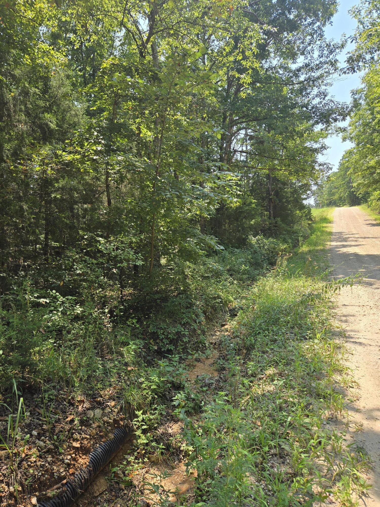Photo 10 - Land for sale – 0001  County Road 421   Birch Tree, MO