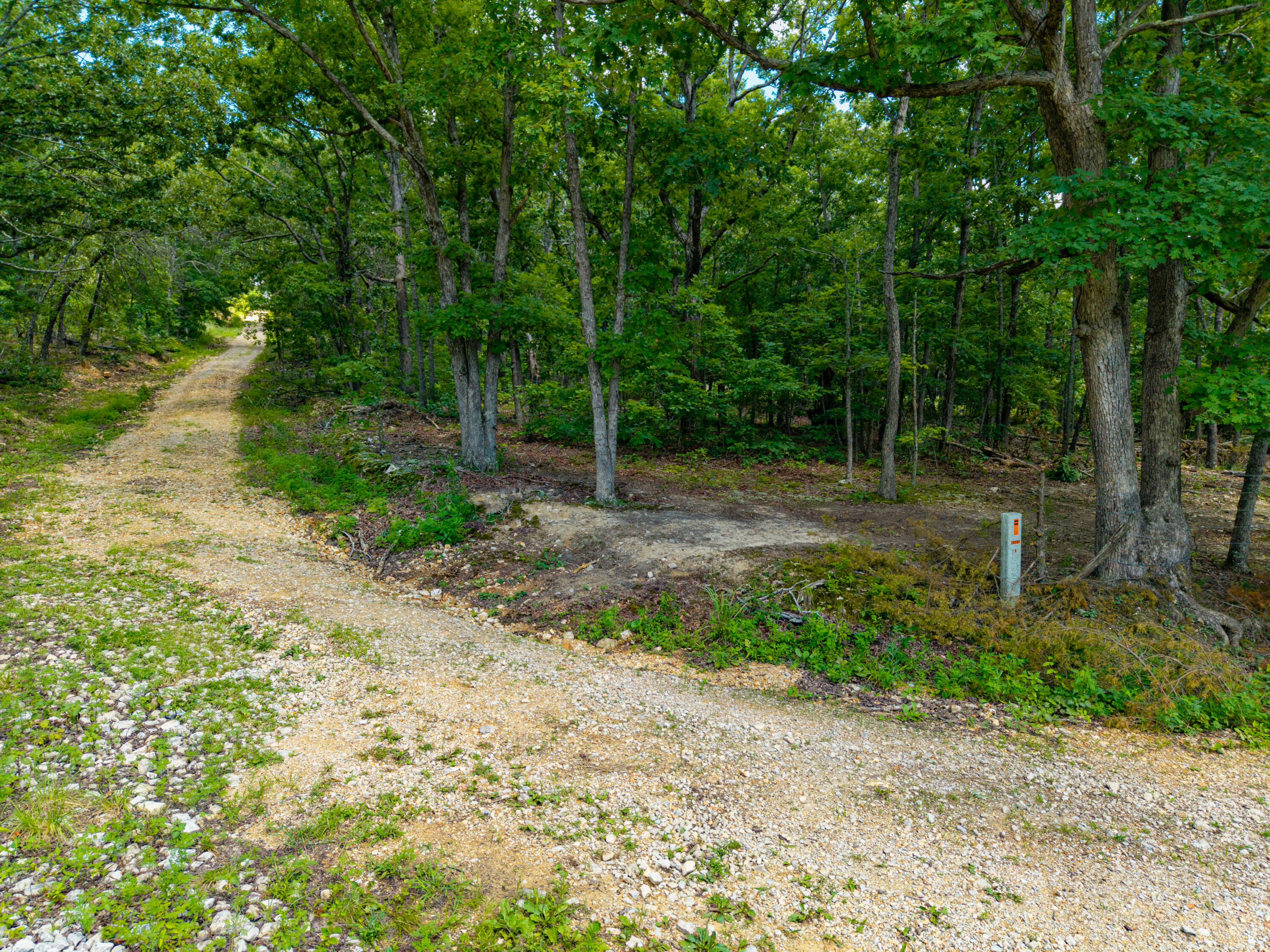 Photo 12 - Land for sale – 000  Berry Road  Cabool, MO