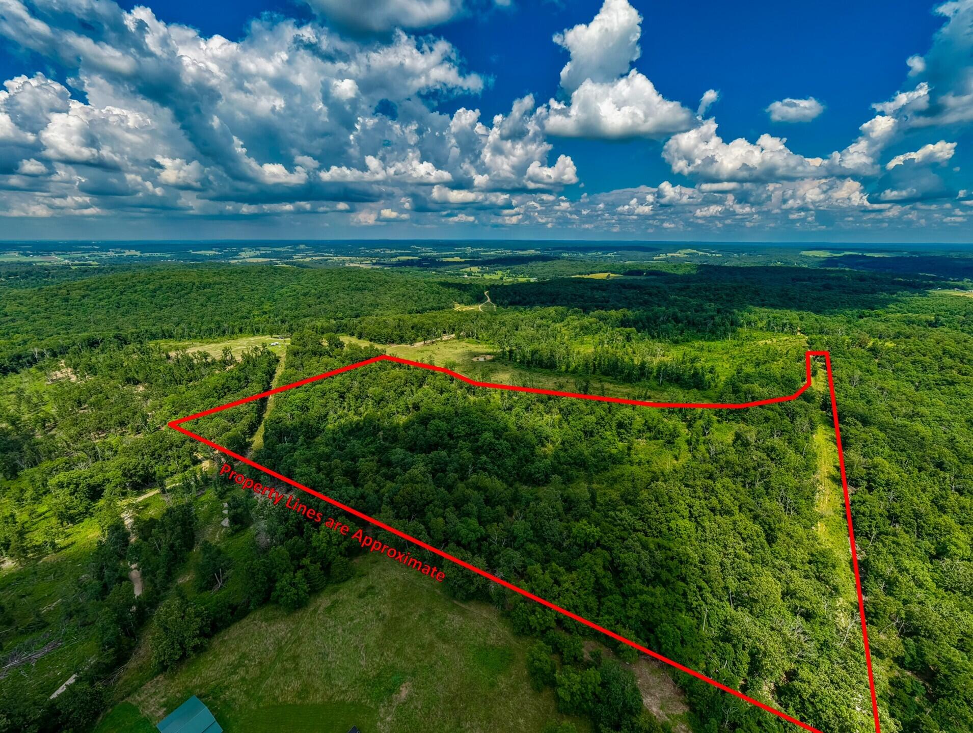 Photo 6 - Land for sale – 000  Berry Road  Cabool, MO