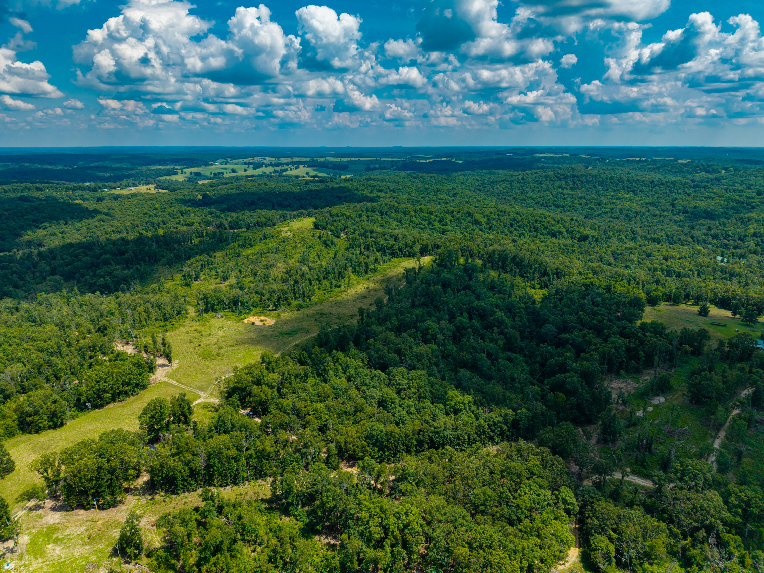 Photo 9 - Land for sale – 000  Berry Road  Cabool, MO