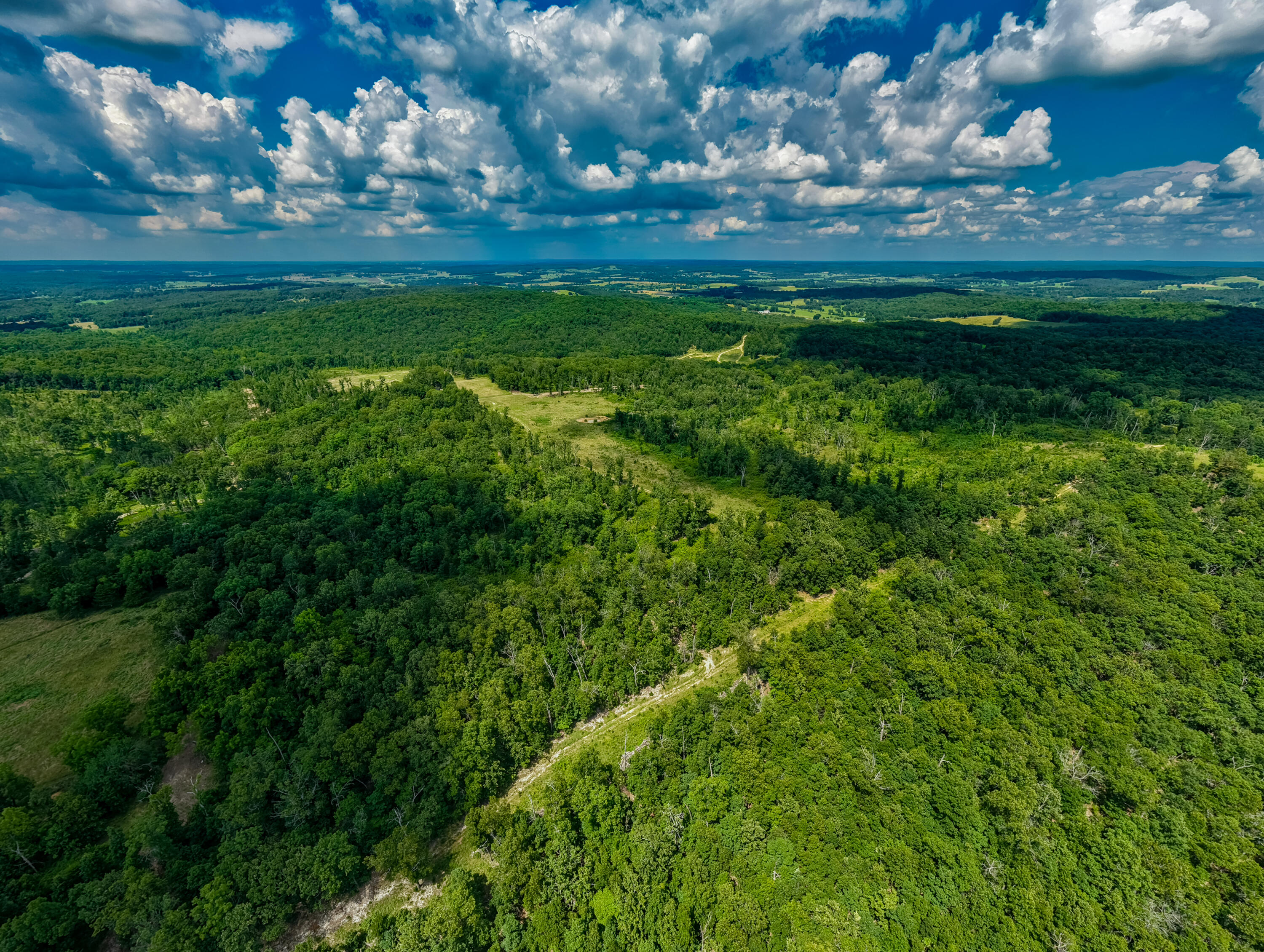 Photo 11 - Land for sale – 000  Berry Road  Cabool, MO