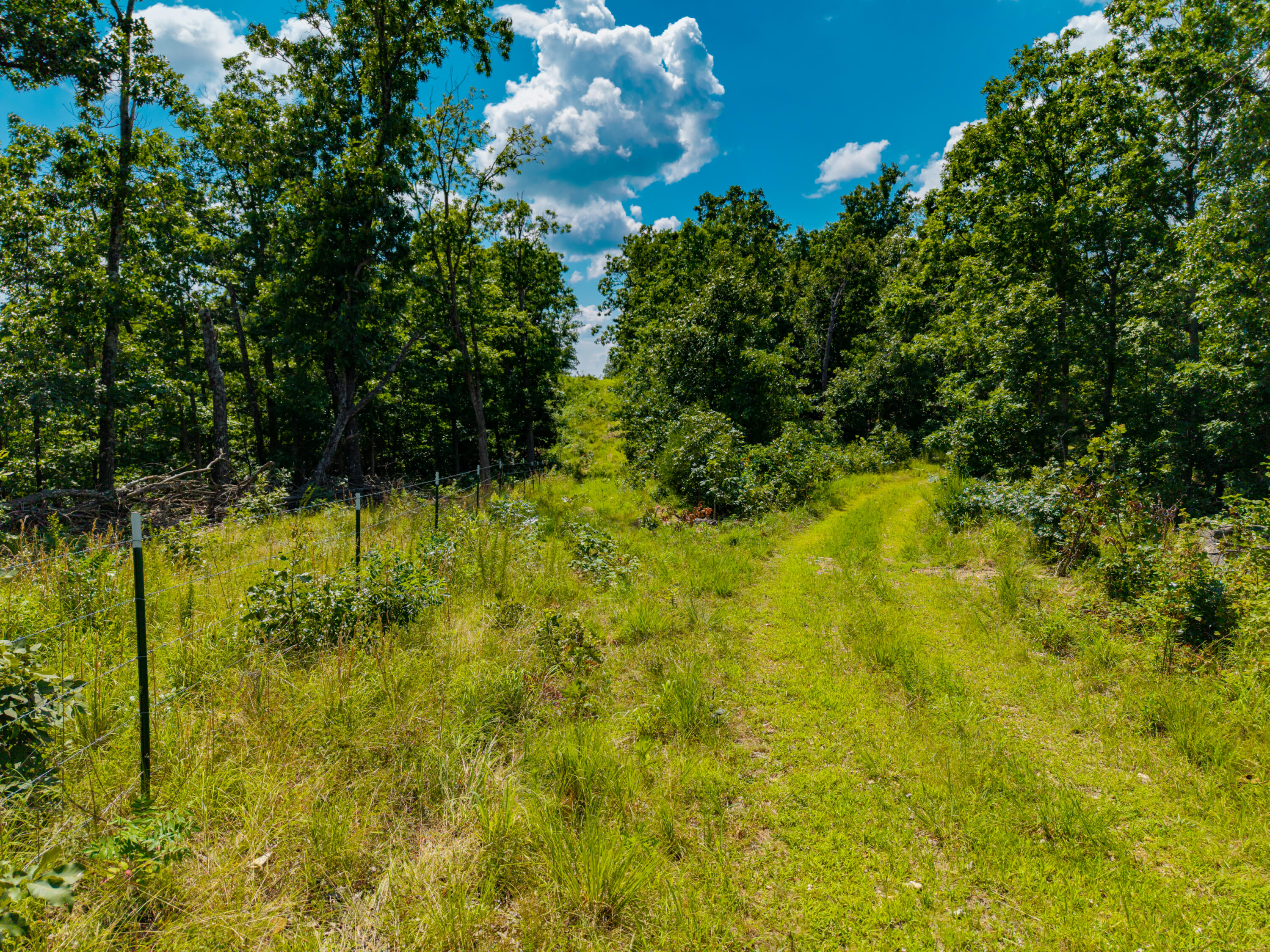 Photo 15 - Land for sale – 000  Berry Road  Cabool, MO