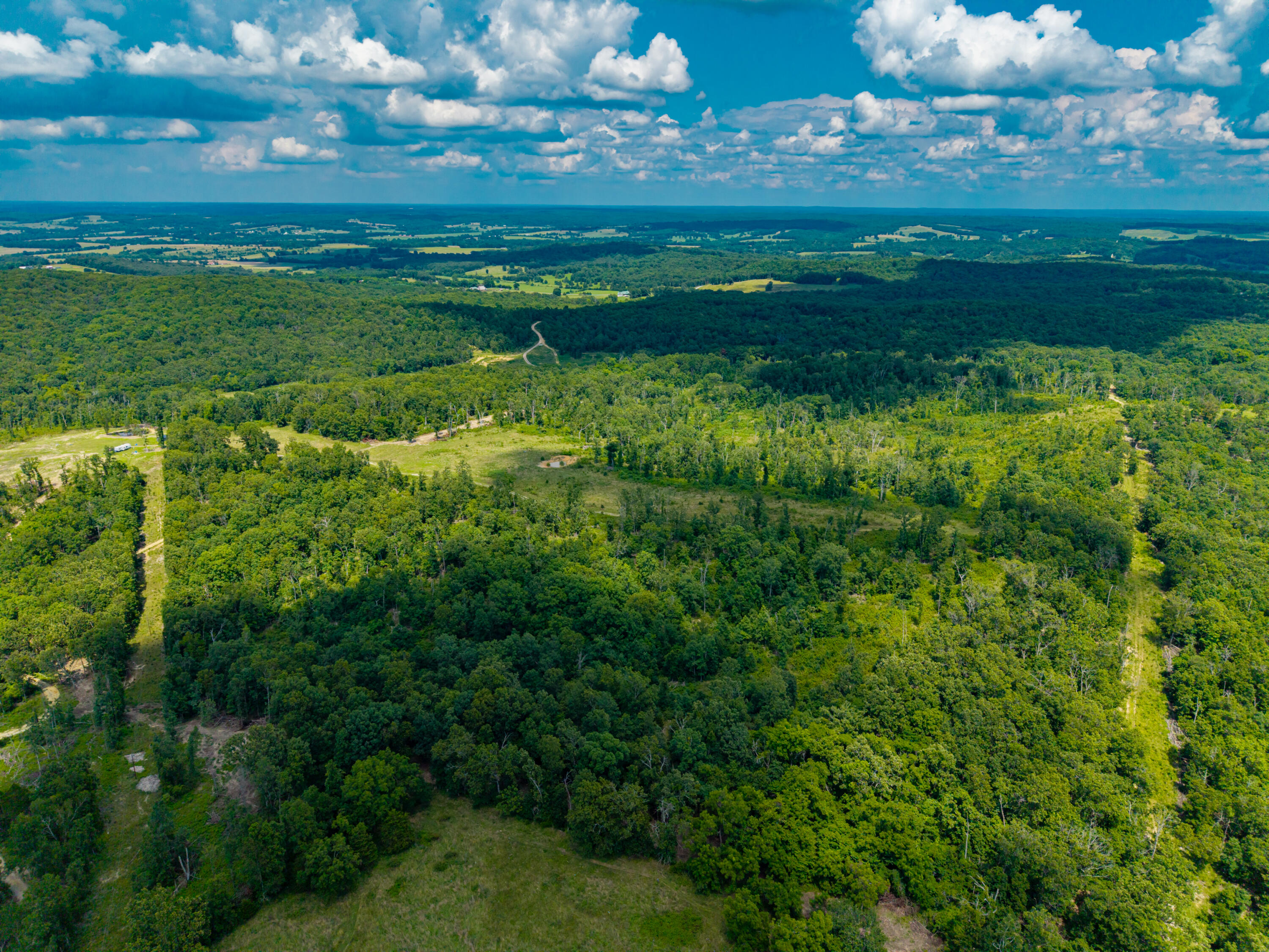 Photo 10 - Land for sale – 000  Berry Road  Cabool, MO