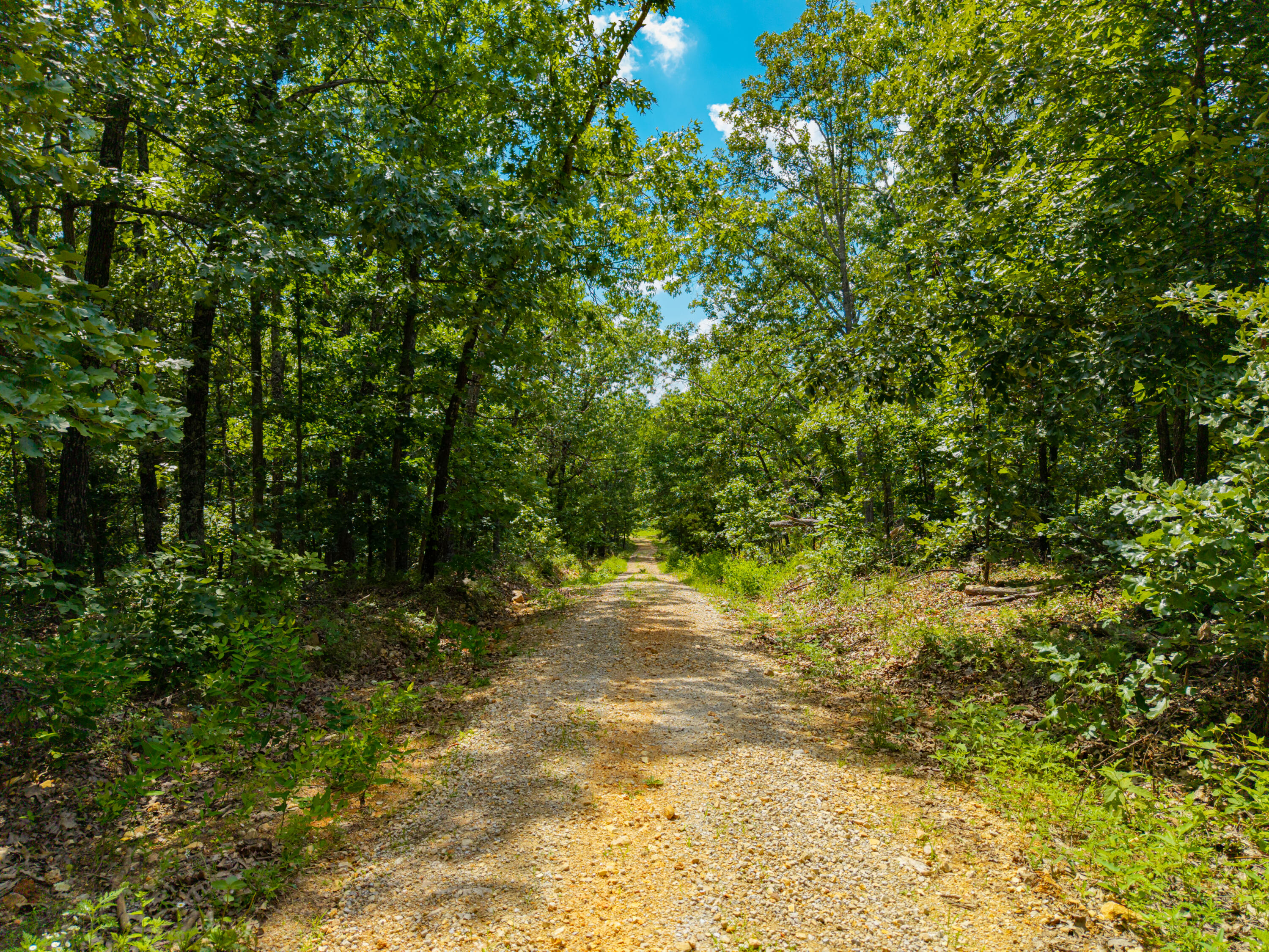 Photo 8 - Land for sale – 000  Berry Road  Cabool, MO