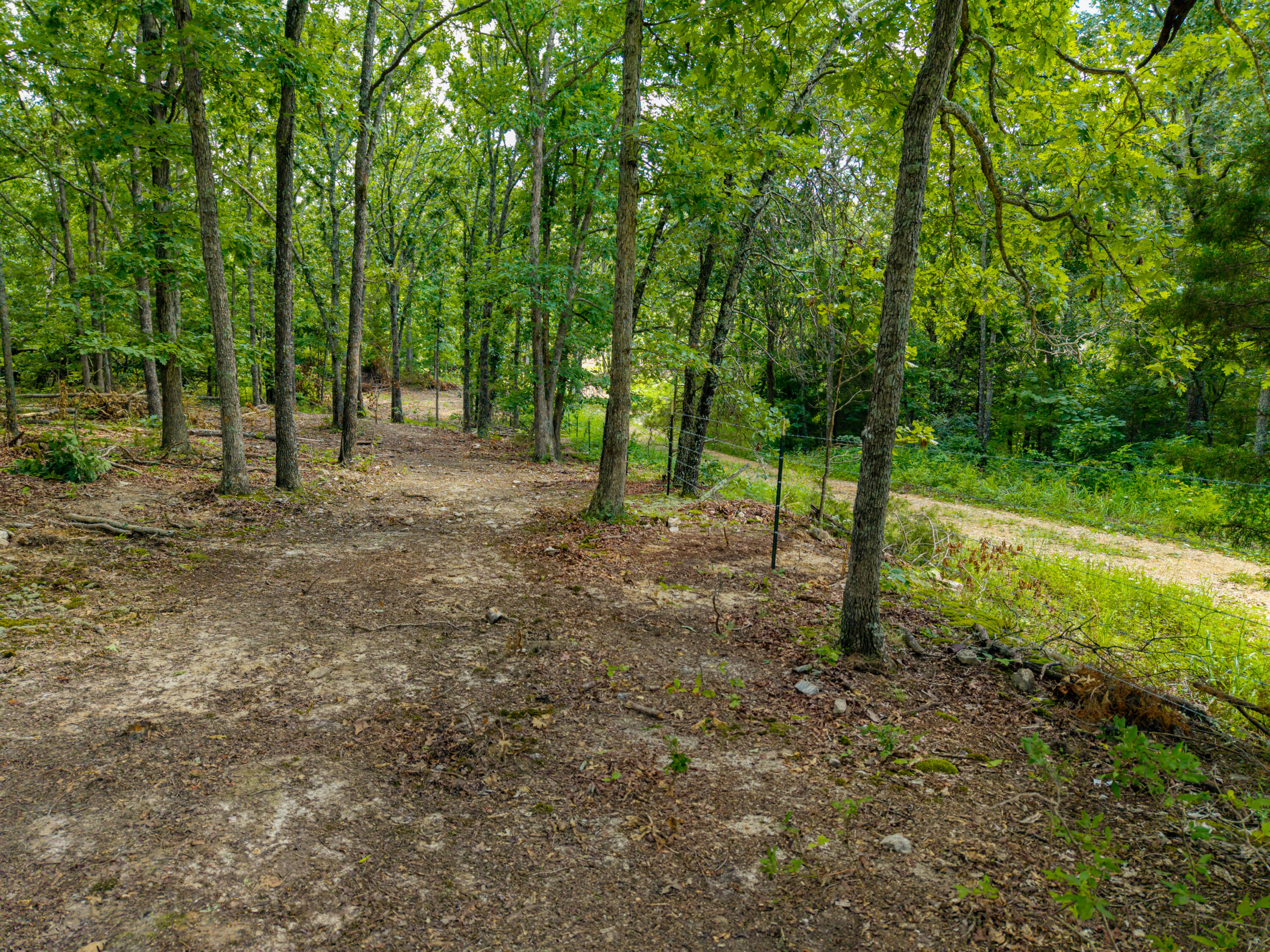 Photo 13 - Land for sale – 000  Berry Road  Cabool, MO