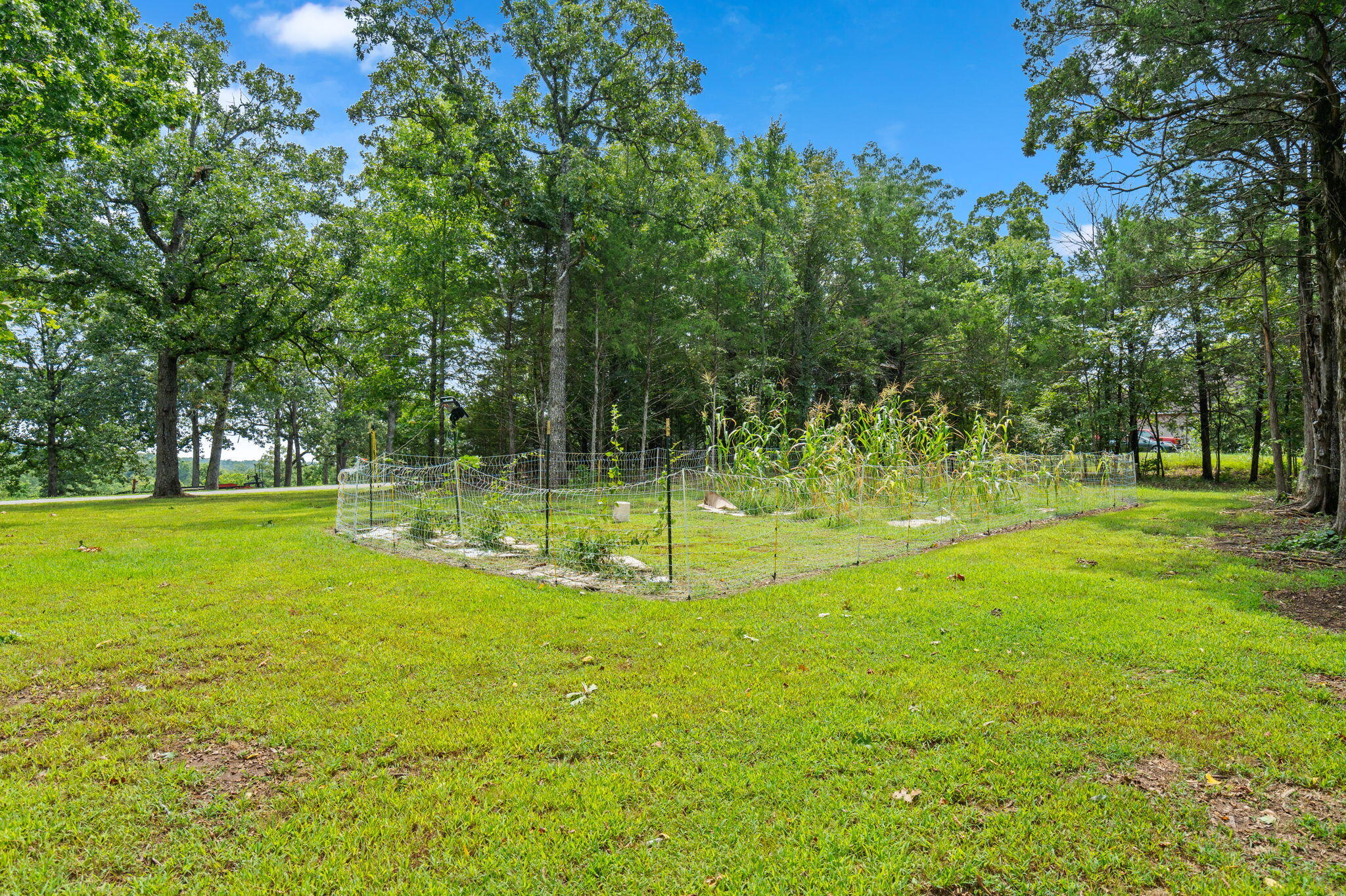 Photo 13 - Land for sale – 1270  Frisco Hills Road  Kissee Mills, MO