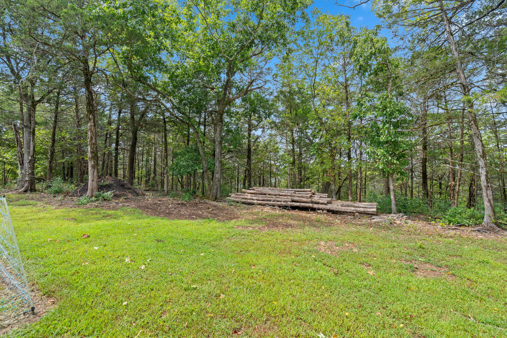 Photo 15 - Land for sale – 1270  Frisco Hills Road  Kissee Mills, MO