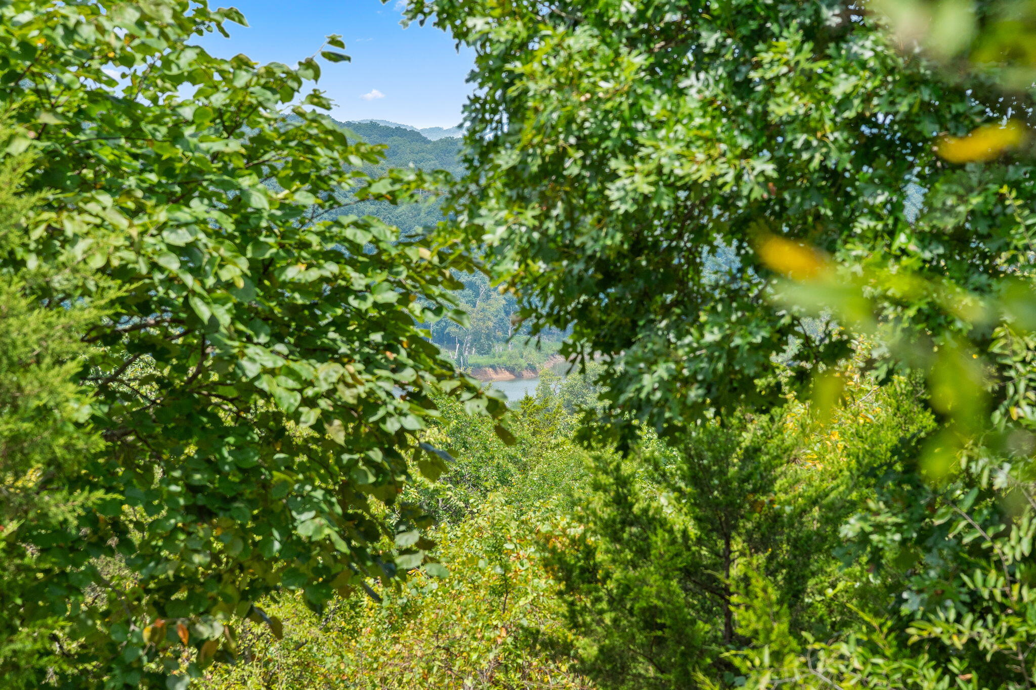 Photo 17 - Land for sale – 1270  Frisco Hills Road  Kissee Mills, MO